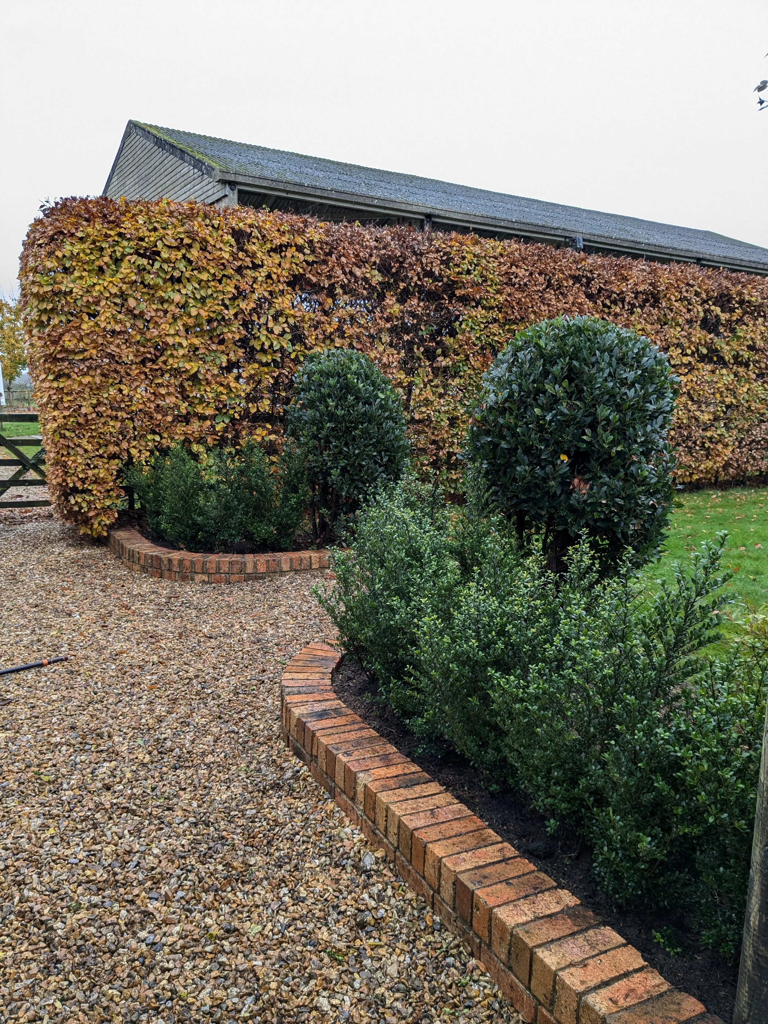 A landscaped garden with a gravel pathway, green bushes, and a large hedge with autumn-colored leaves behind a brick border, adjacent to a building with a sloped roof.