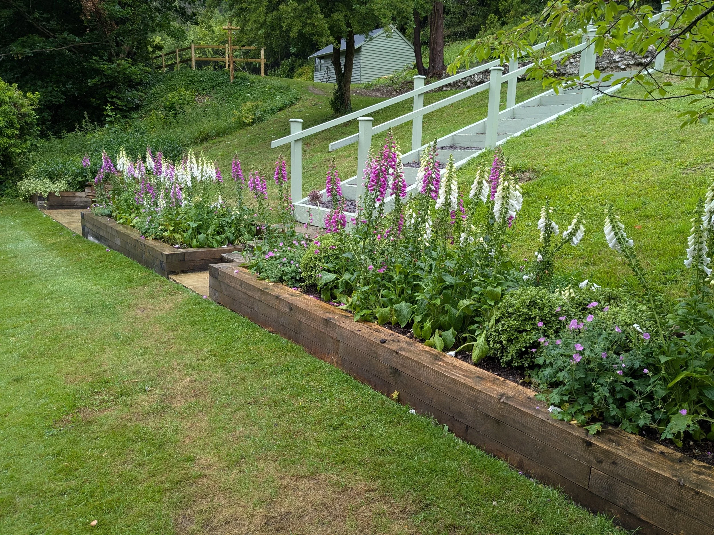 Raised garden beds with purple and white blooming flowers, adjacent to a grassy yard and a white staircase leading up a hill, with trees and a shed in the background.