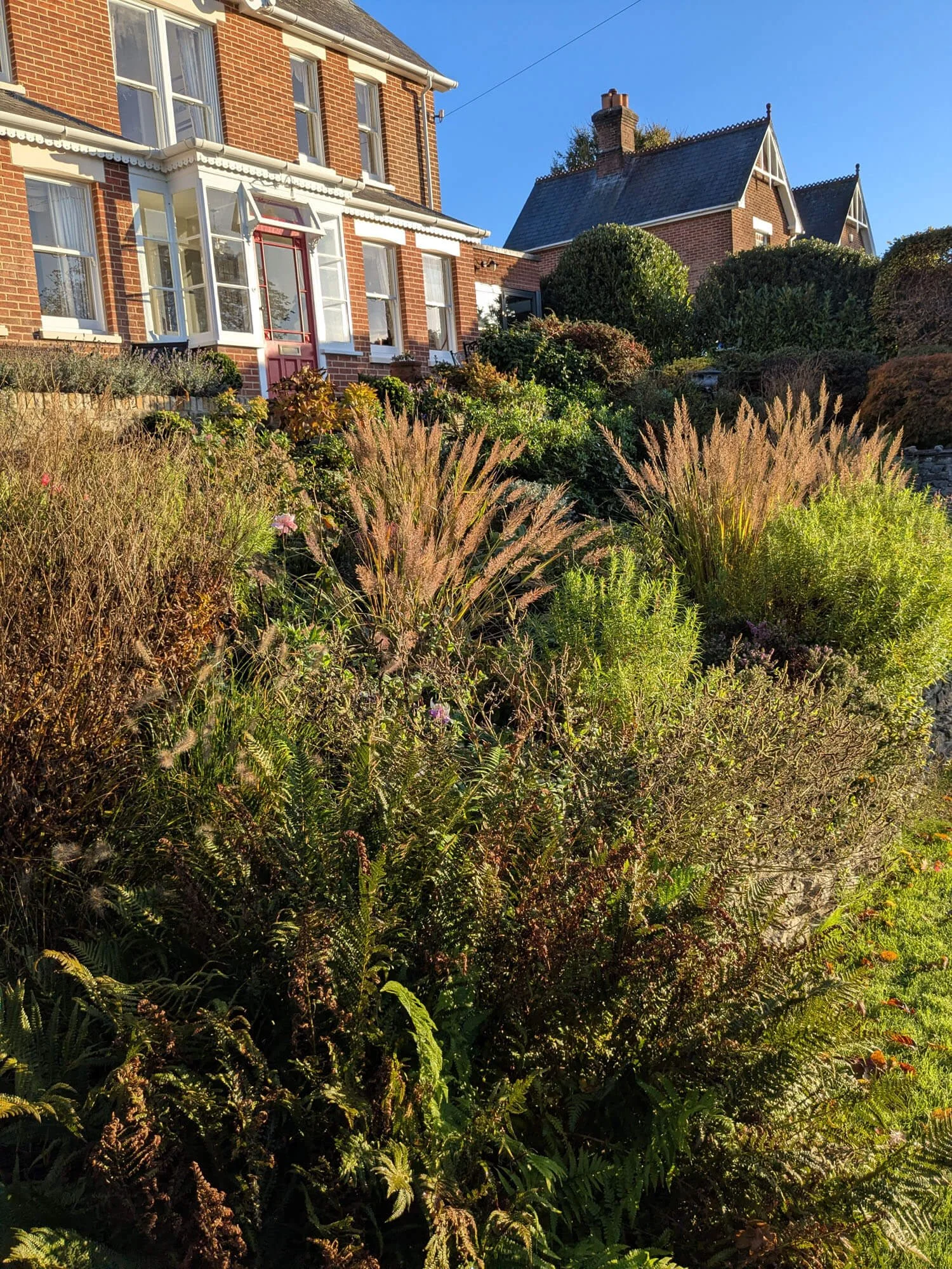 Marine Green Horticulture Garden Maintenance Poole Bournemouth (56).jpg