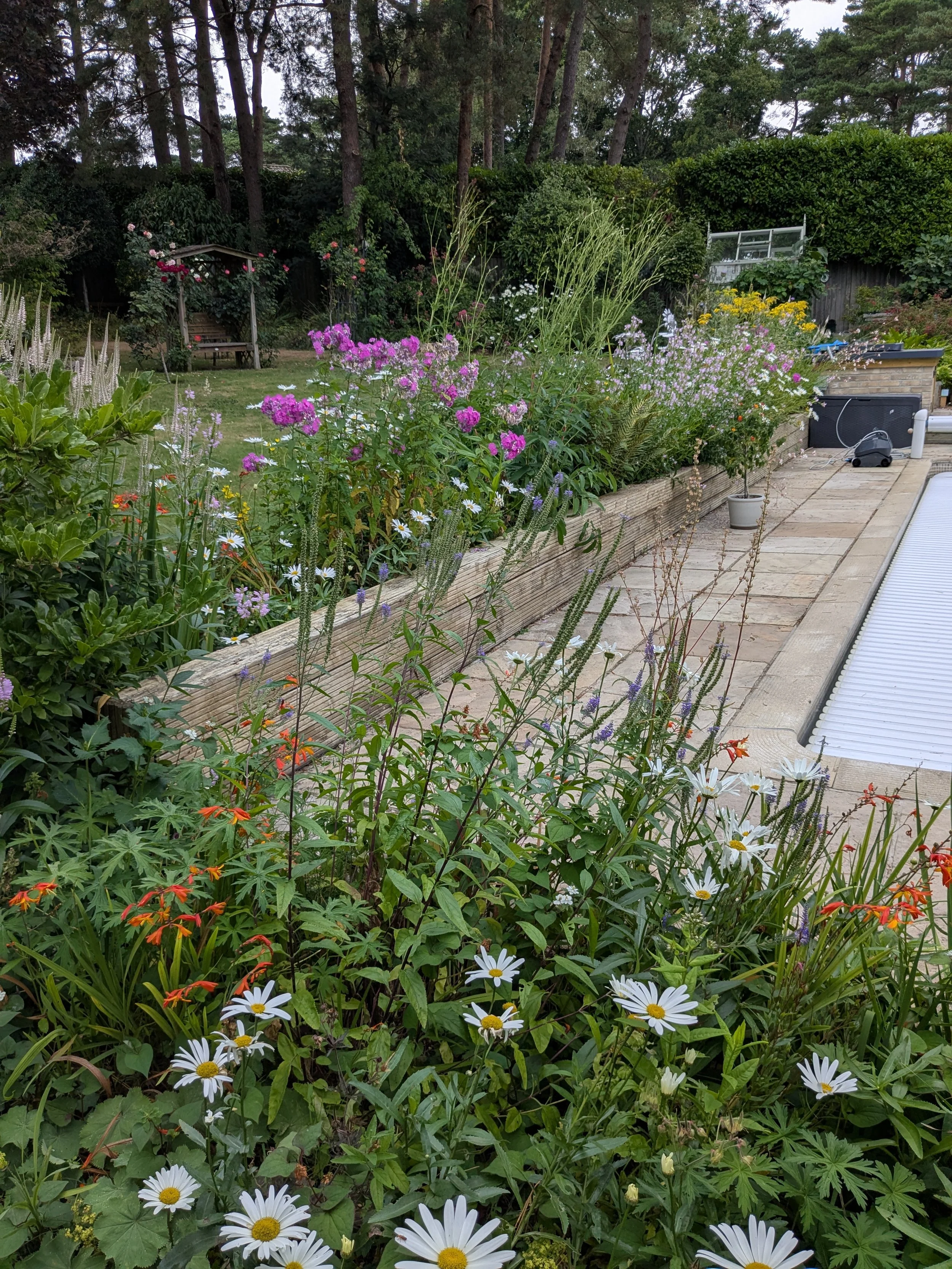 A garden with a variety of colorful flowers, a paved pathway, and a backyard with trees and shrubs in broadstone.