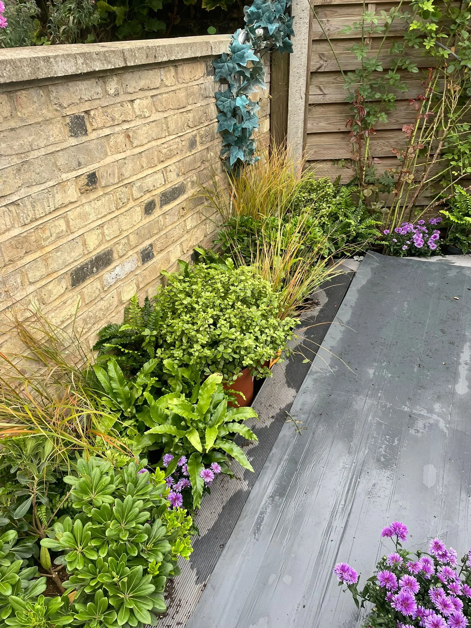Multiple potted plants and flowers along a garden edge, with a brick wall and wooden fence in the background.