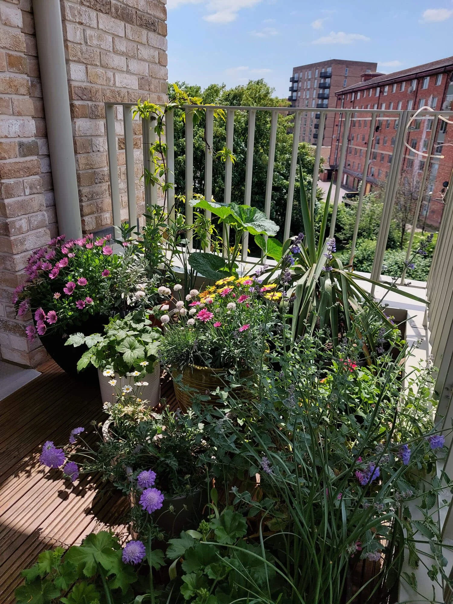 Marine Green Horticulture Garden Maintenance Poole Bournemouth (14).jpg