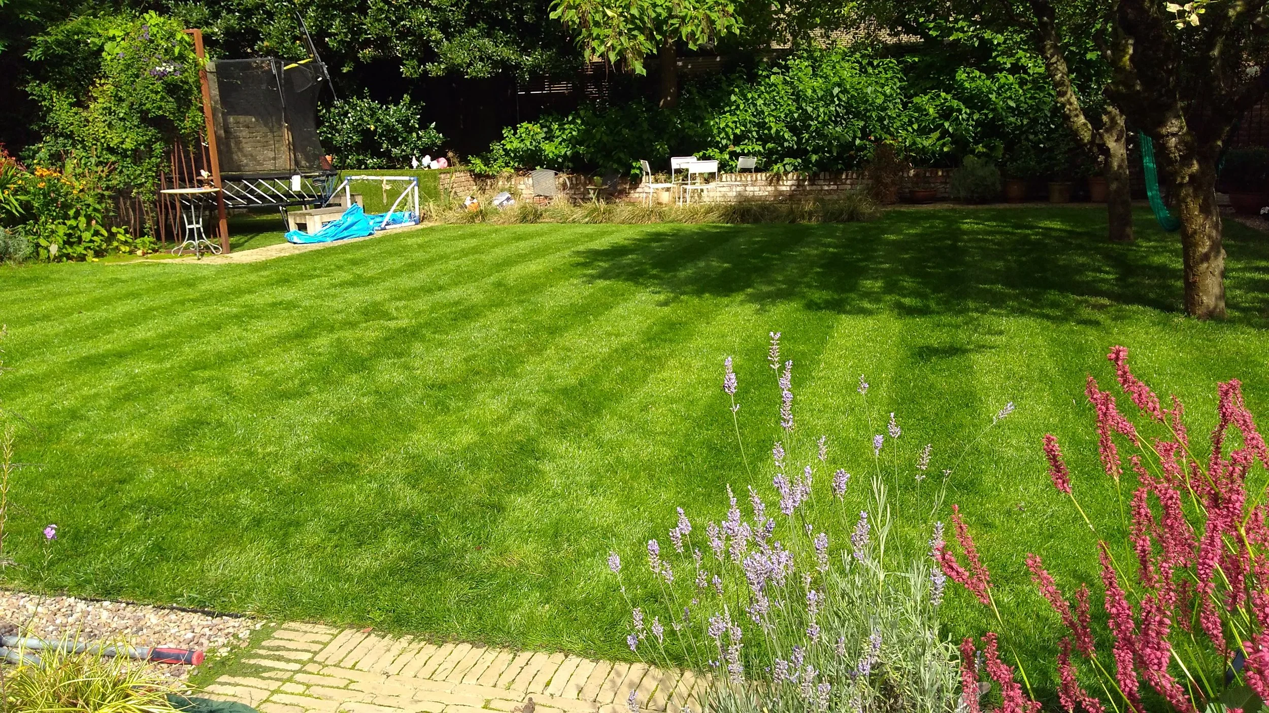 A sunny backyard with a green lawn, purple and pink flowers in the foreground, trees, and gardening items like a trampoline and a small table.
