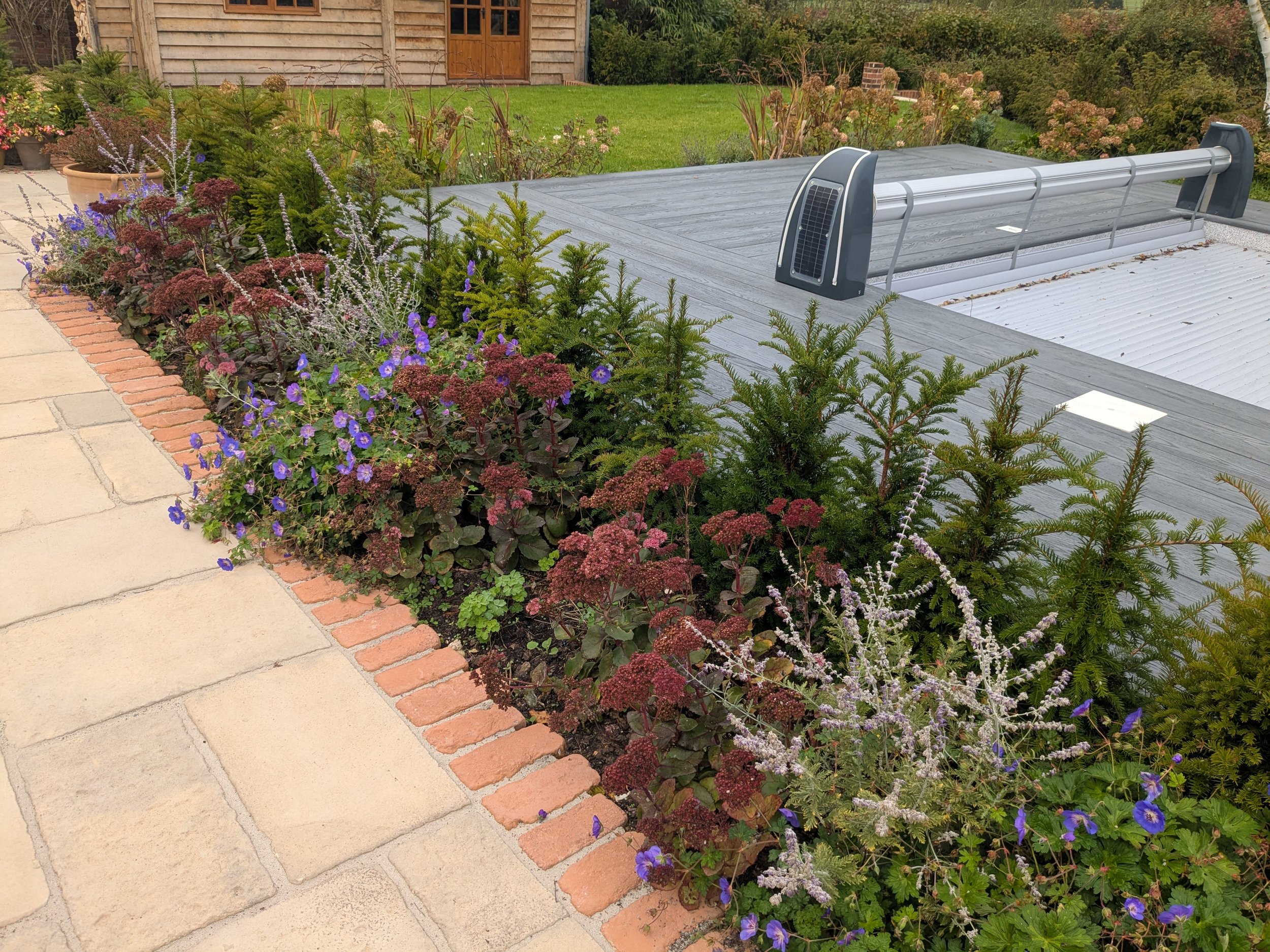 Garden bed with colorful flowers and small evergreen shrubs beside a paving walkway, with a shed and lawn in the background.
