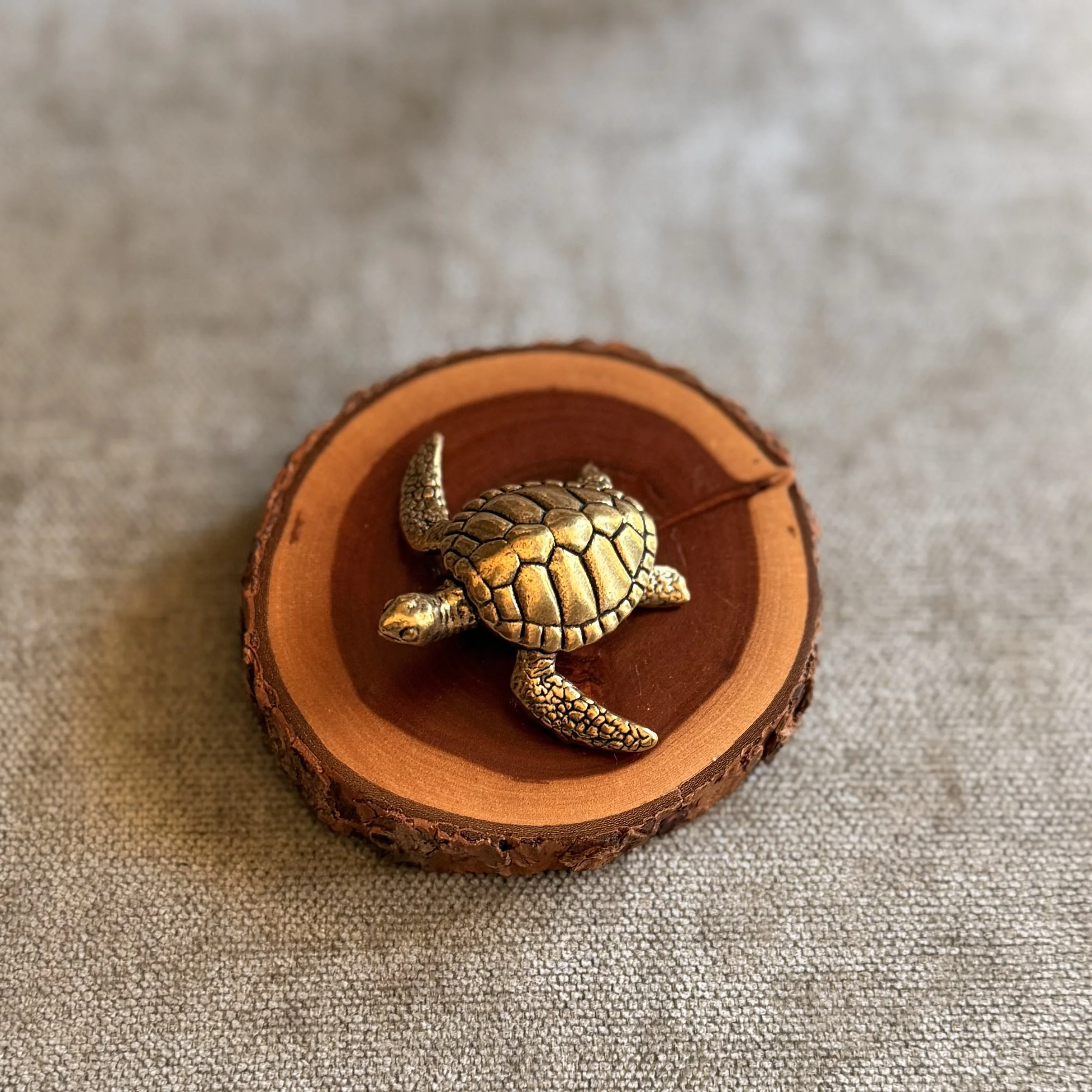BRASS TURTLE