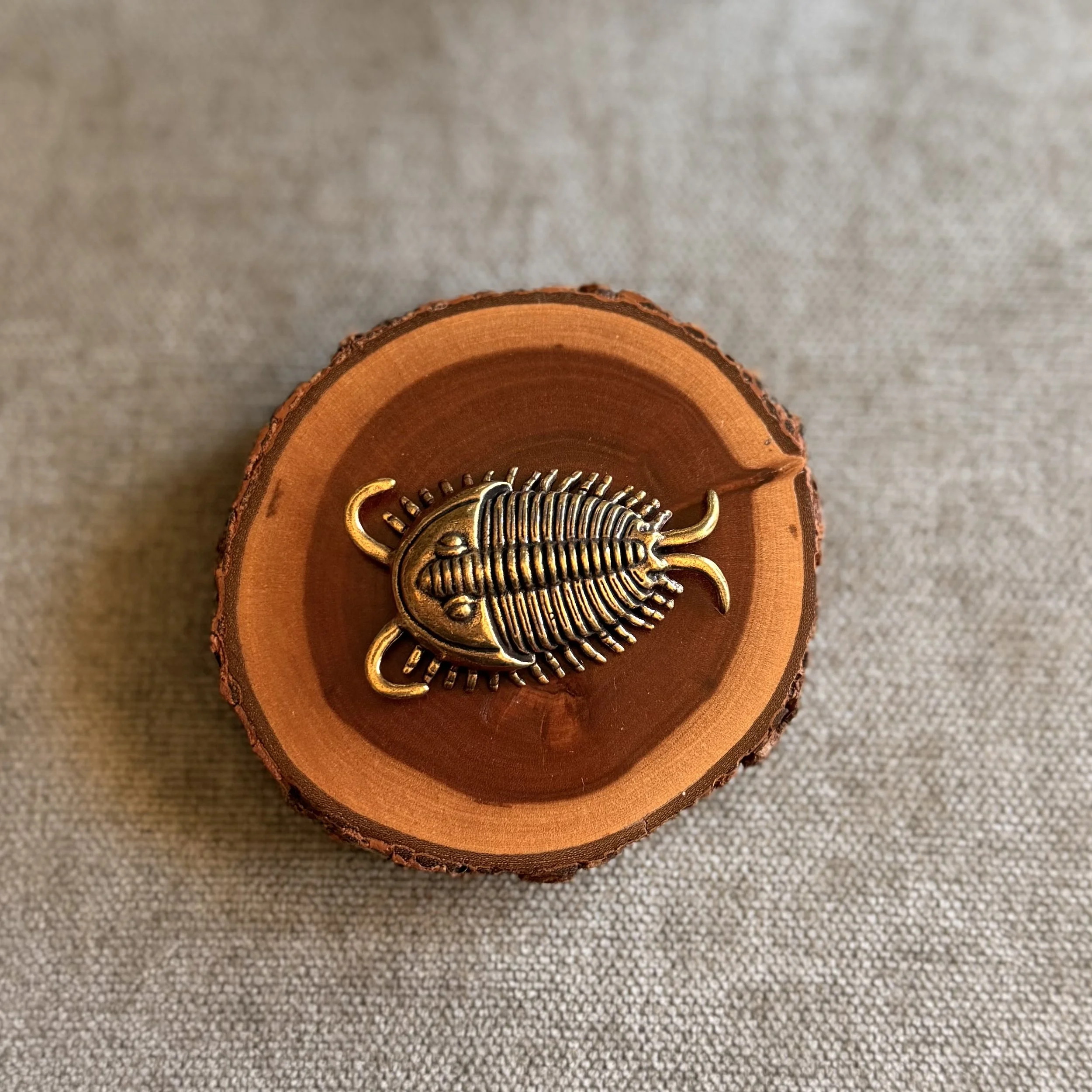 BRASS ISOPOD