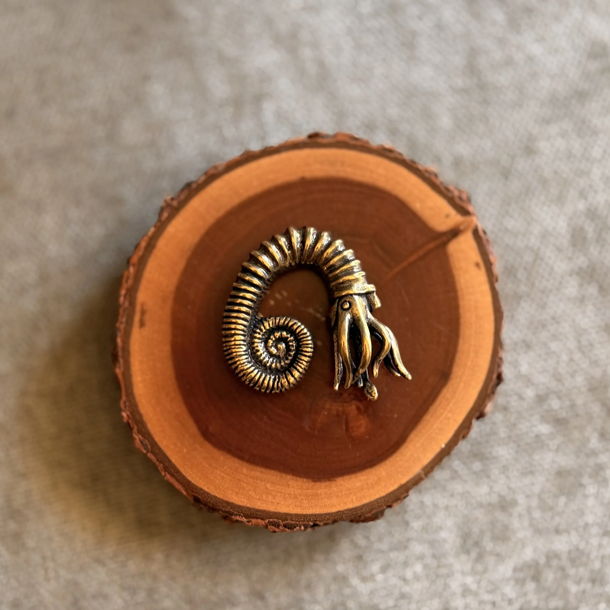 BRASS AMMONITE