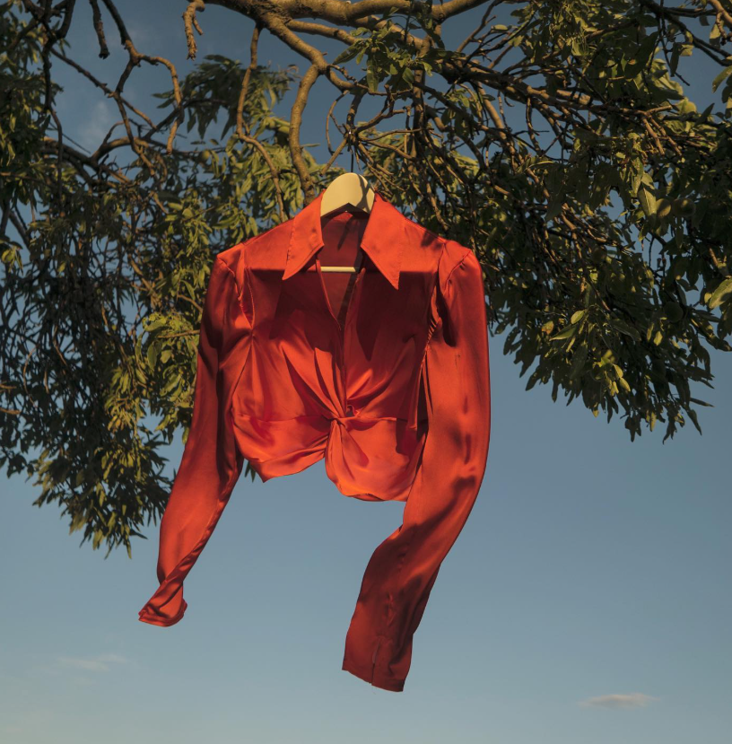 A red satin blouse hanging on a white hanger from a tree branch against a blue sky.