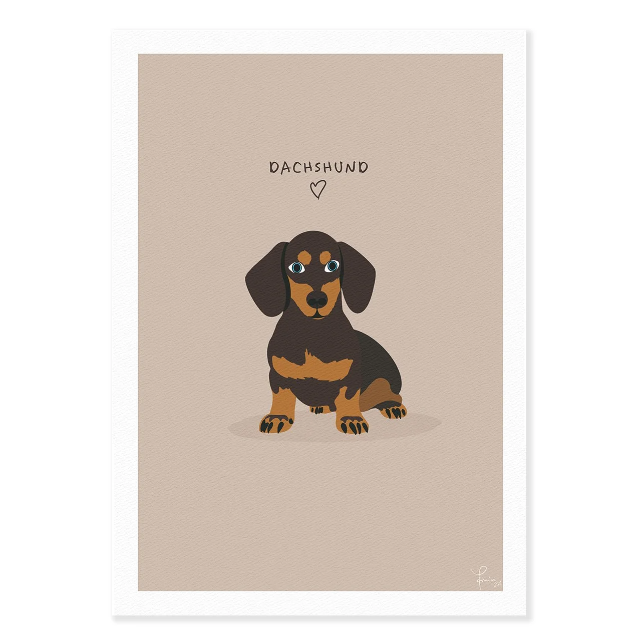 Dachshund