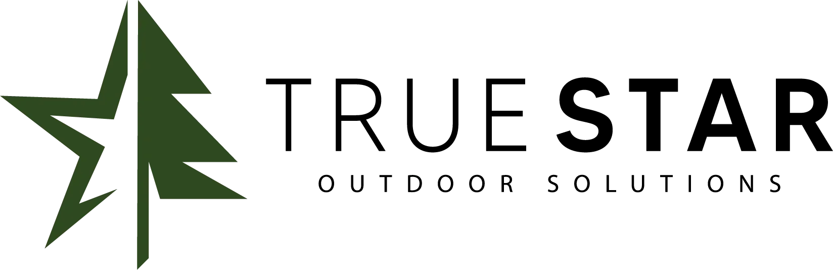 The logo features a stylized green pine tree on the left and the words "Evergreen Insurance" in black on the right.