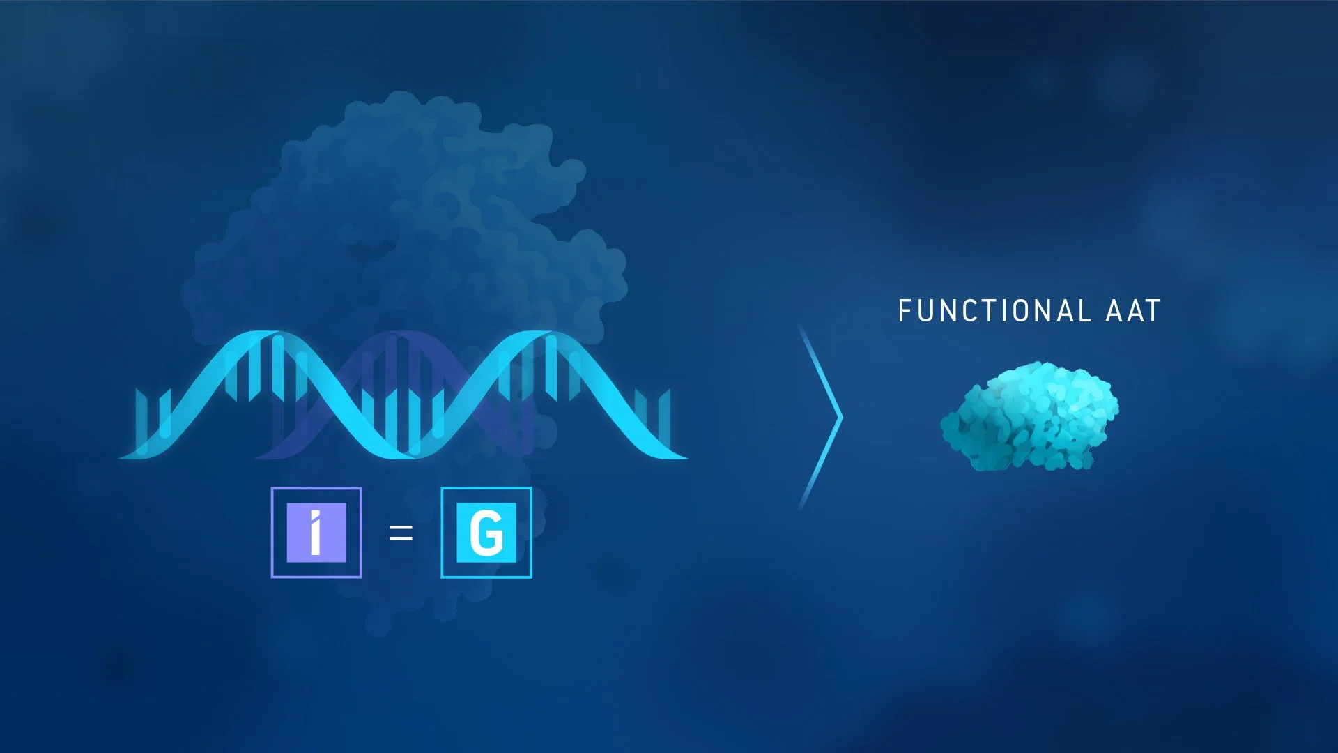 Graphic illustrating the relationship between DNA and functional AT, with DNA double helix and a molecular structure labeled 'Functional AT' on a blue background.