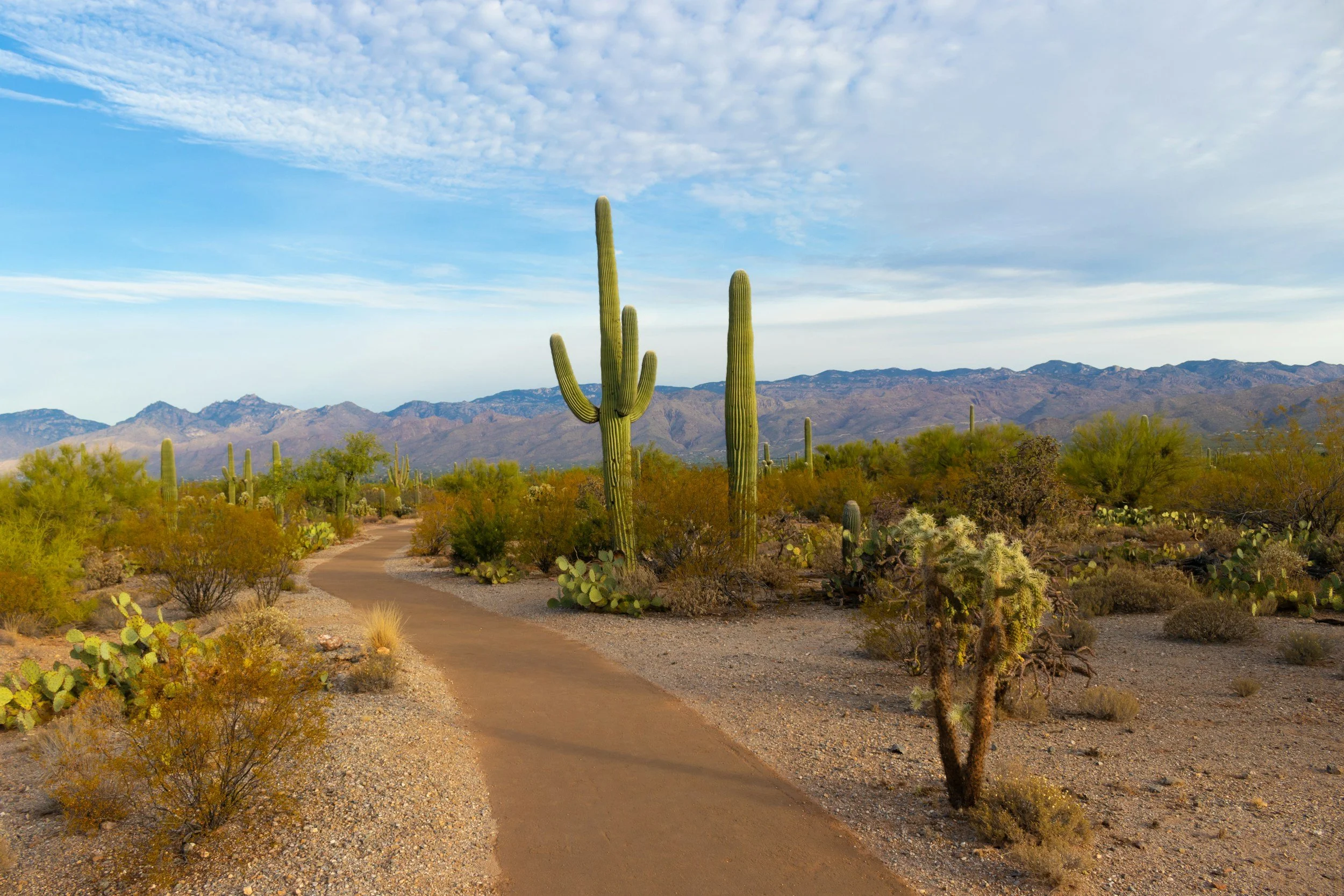 An Arizona landscape representing Inside Out Therapy and Consulting, serving Peoria and the West Valley