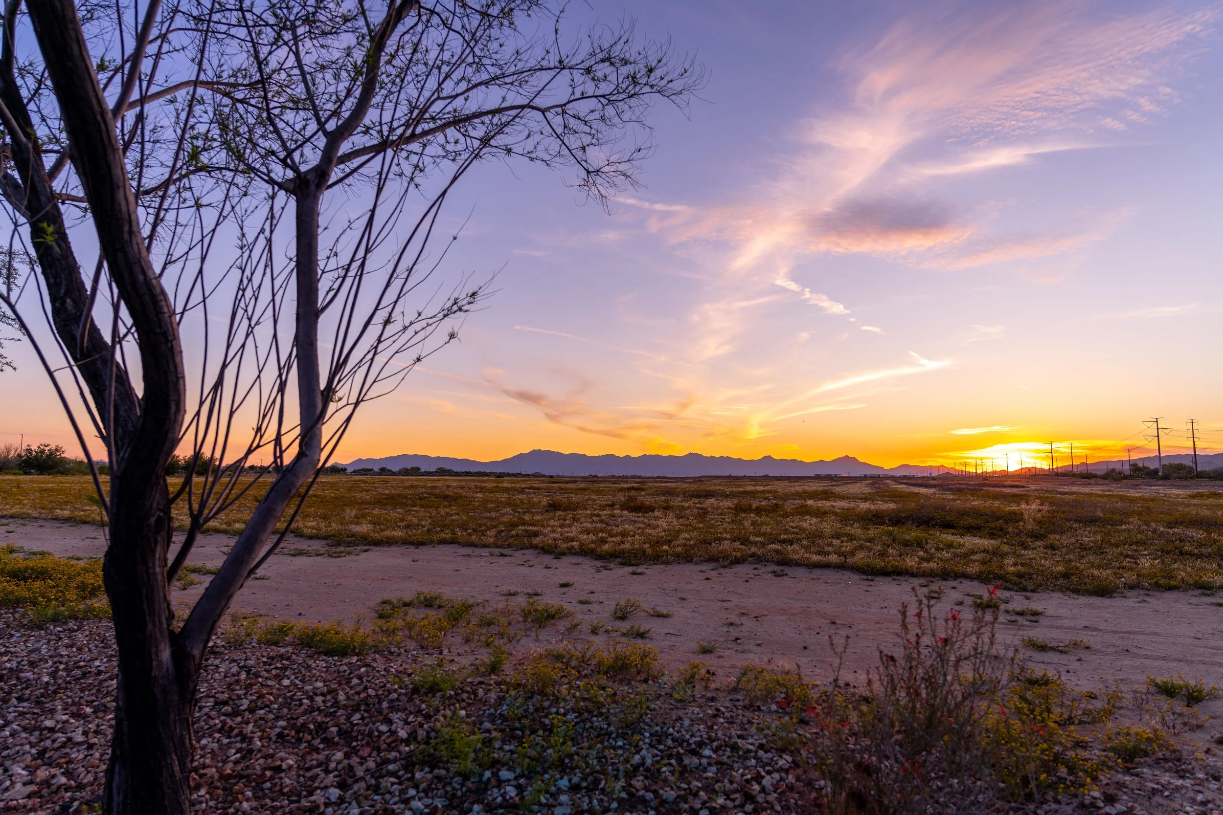 An Arizona landscape representing EMDR therapy and trauma-informed care serving Glendale, AZ at Inside Out Therapy and Consulting in Peoria