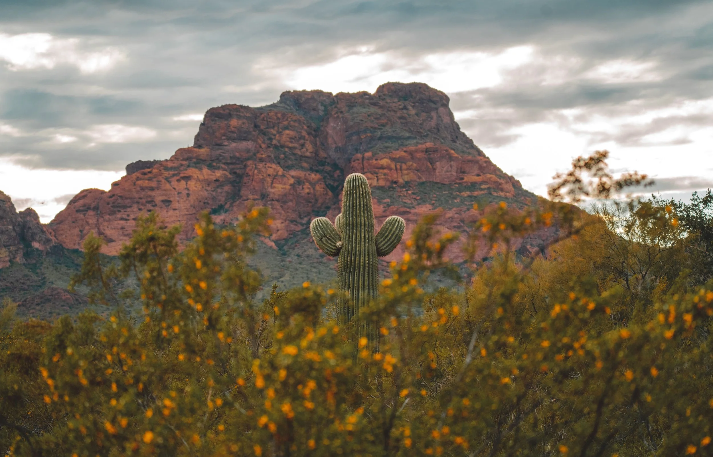 An Arizona landscape representing EMDR therapy and trauma-informed care serving Surprise, AZ at Inside Out Therapy and Consulting in Peoria