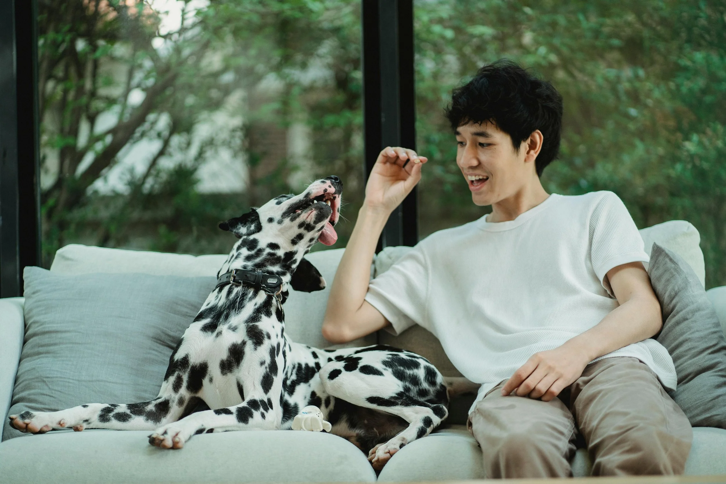 A man sitting on a couch with a dalmatian, representing trauma therapy for men and adults in Peoria, AZ at Inside Out Therapy + Consulting
