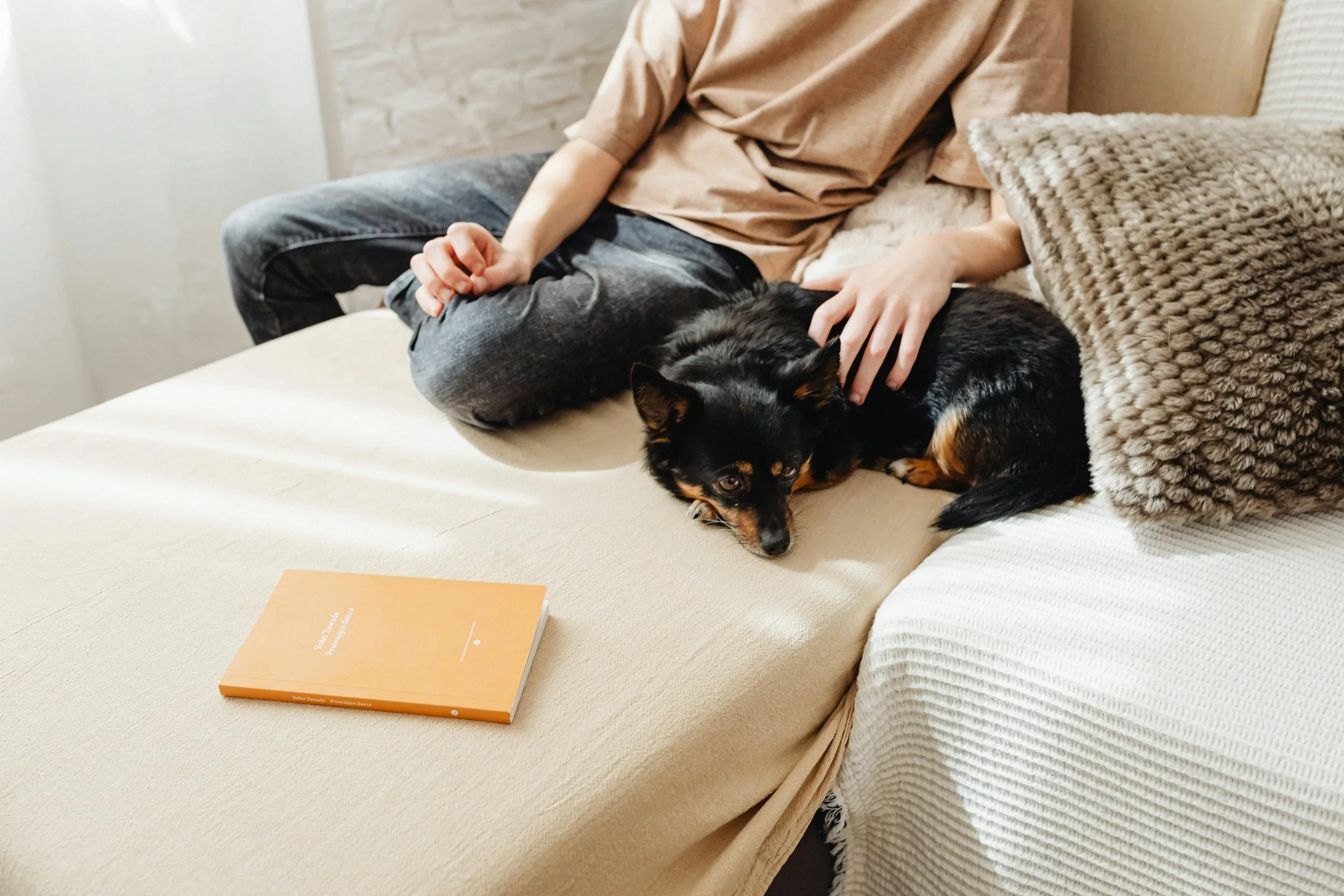 Adolescent boy sitting on couch petting a dog, representing teen therapy services at Inside Out Therapy and Consulting in Peoria Arizona