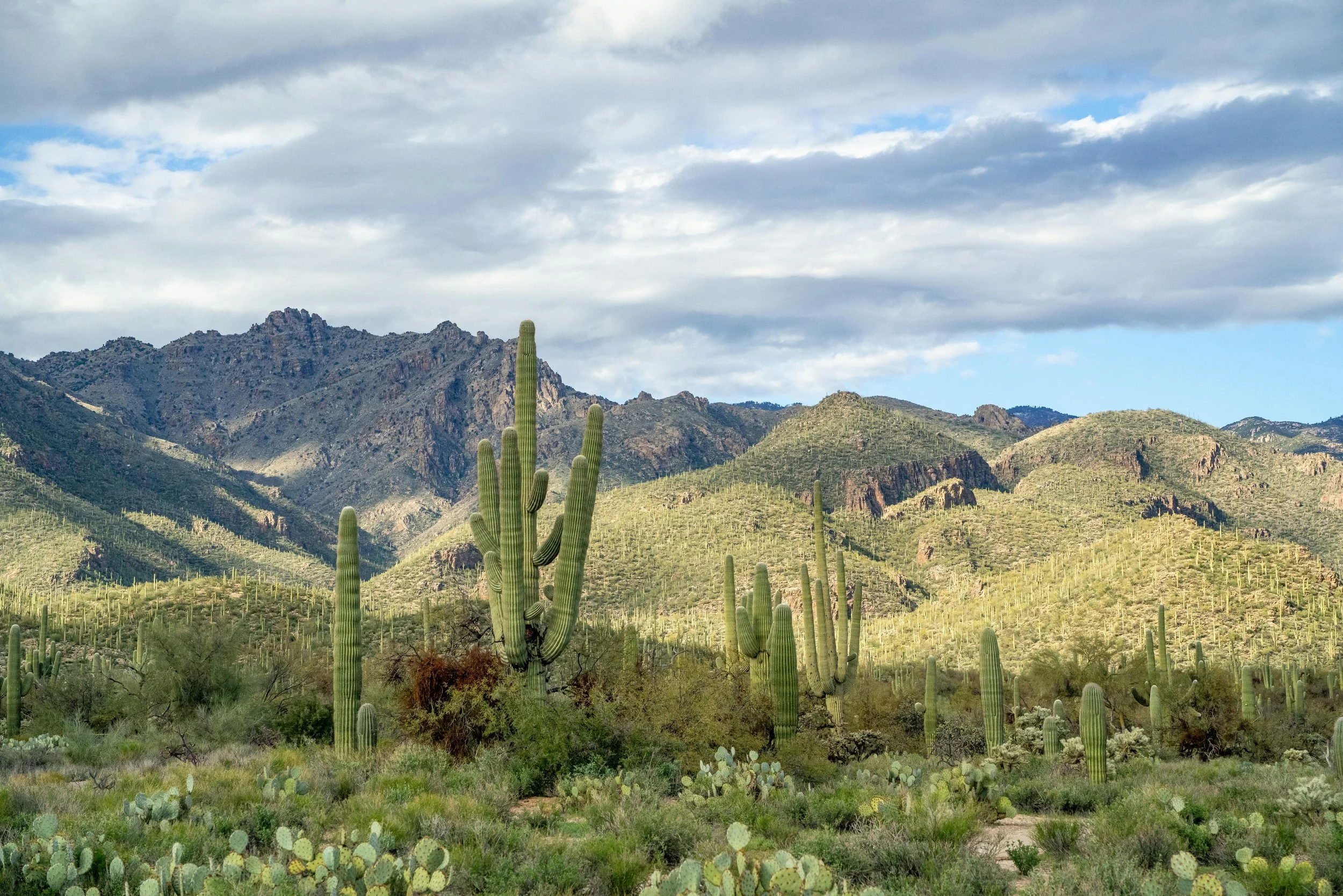An Arizona landscape representing in-person EMDR therapy and trauma-informed care at Inside Out Therapy and Consulting in Peoria, AZ