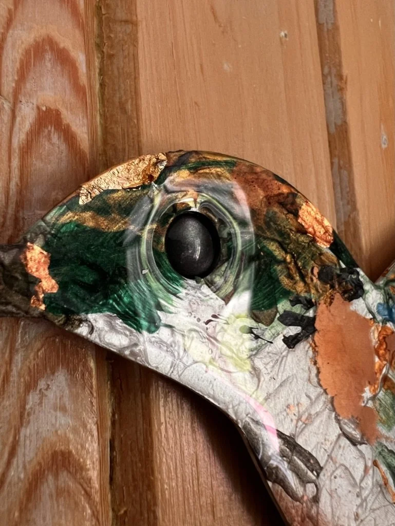 Détail de colibri femelle