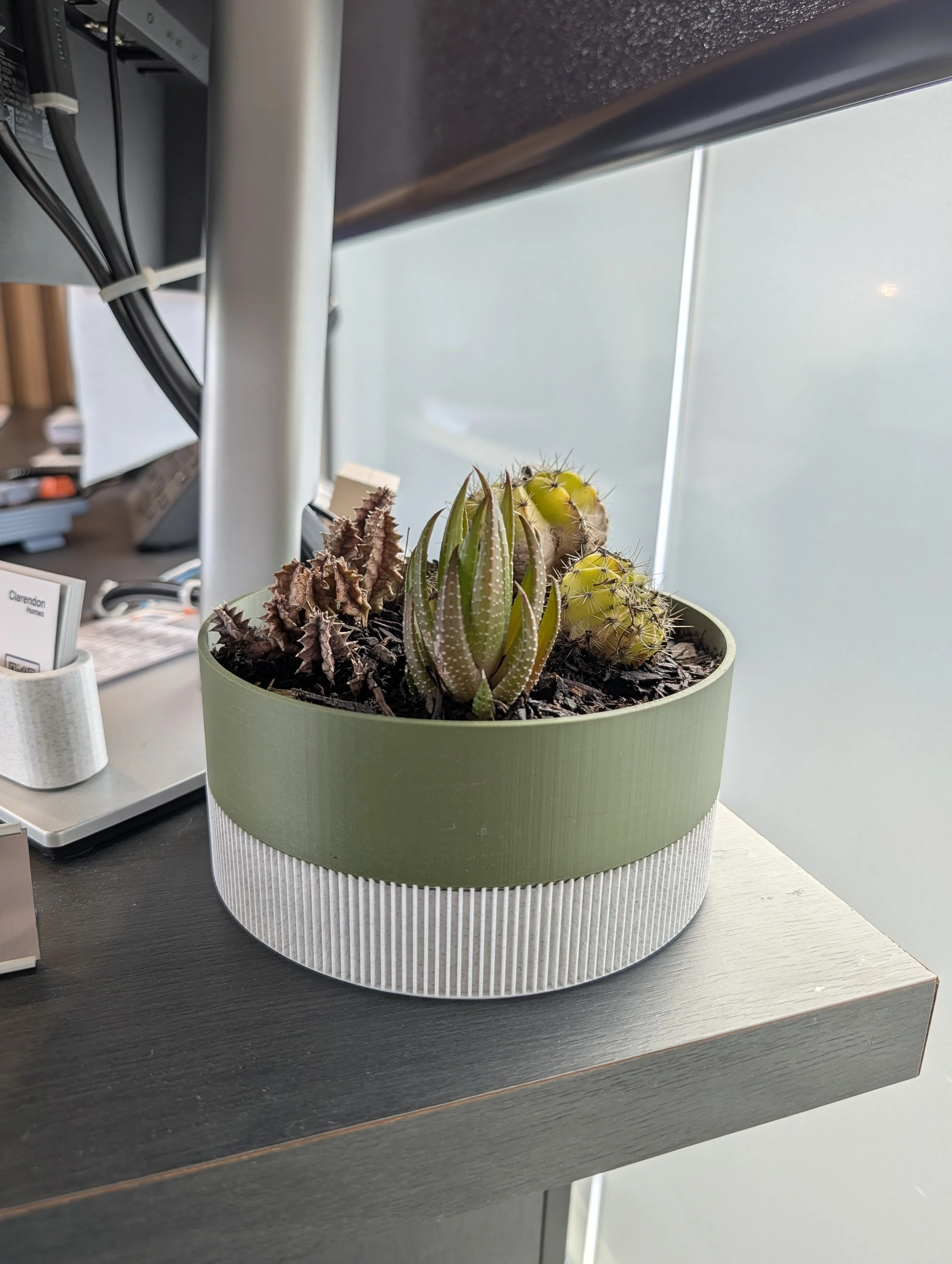 A round planter with a green upper half and white lower half containing various small cactus plants, placed on a dark wooden desk near a computer and office supplies.