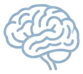 Cerveau stylisé en dessin vectoriel.