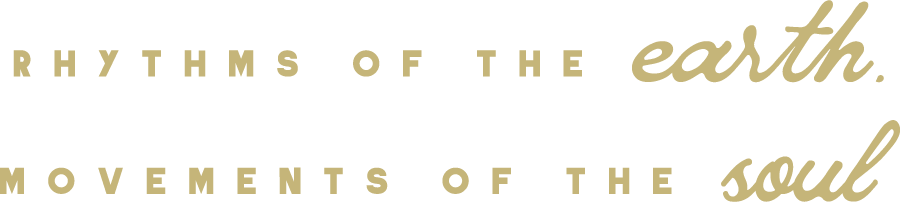 Nb-Wellness-Tagline-Seafoam-Fern-Rgb-900px-w-72ppi (1).png