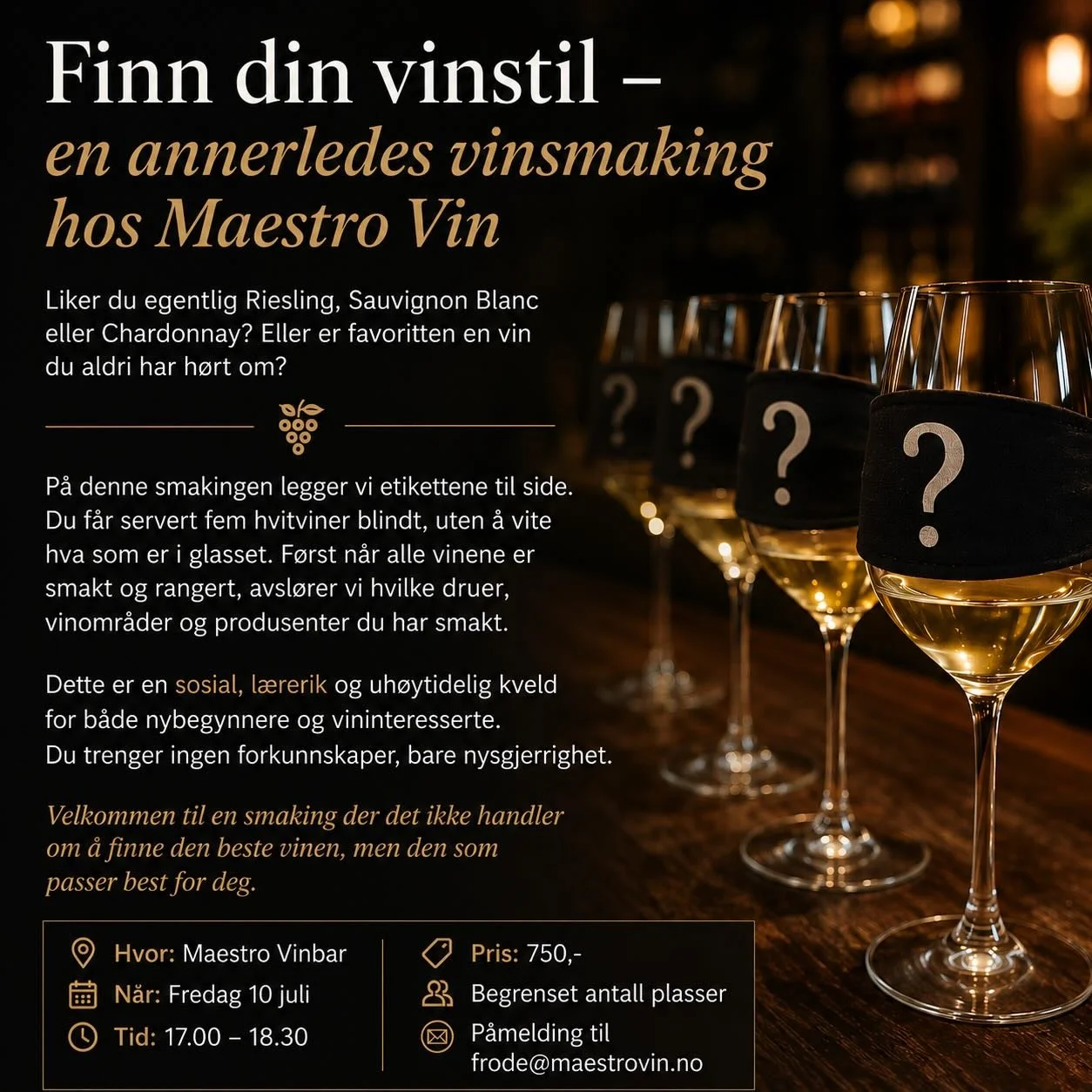 Meld deg p&aring; en annerledes vinsmaking hos Maestro Vin🥂