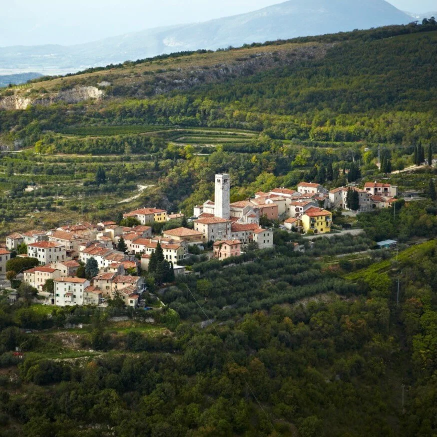 Endelig begynner programmet &aring; bli spikret og masse spennende kommer! 

Allegrini, et av de mest anerkjente vinhusene i Veneto, kommer p&aring; bes&oslash;k til Maestro! 🍷 Gjennom en to timers smaking f&aring;r vi bli kjent med husets historie 