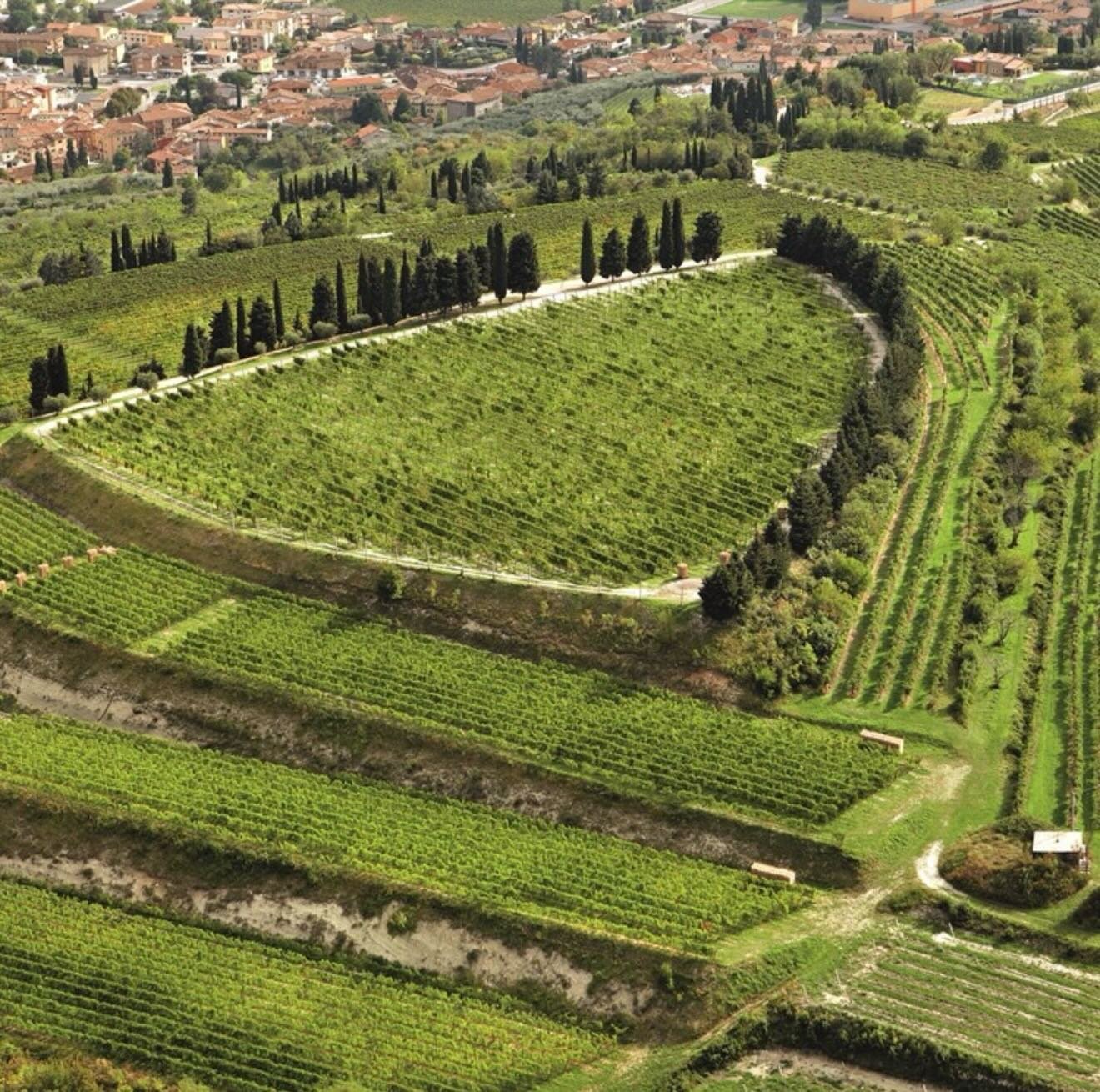 Kun noen f&aring; billetter igjen til vinsmakingen i morgen!🍷

I morgen f&aring;r vi bes&oslash;k av Allegrini &ndash; en av Venetos mest innovative familier, kjent for sitt sterke fokus p&aring; enkeltvinmarker og spennende produksjonsmetoder.

Er 