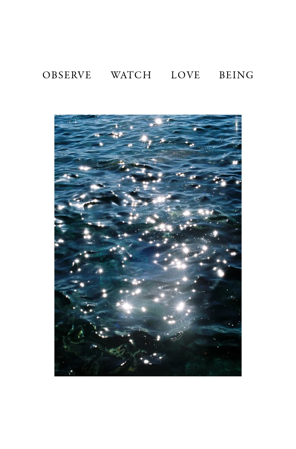 portfolio ASSASSETS-07.webp