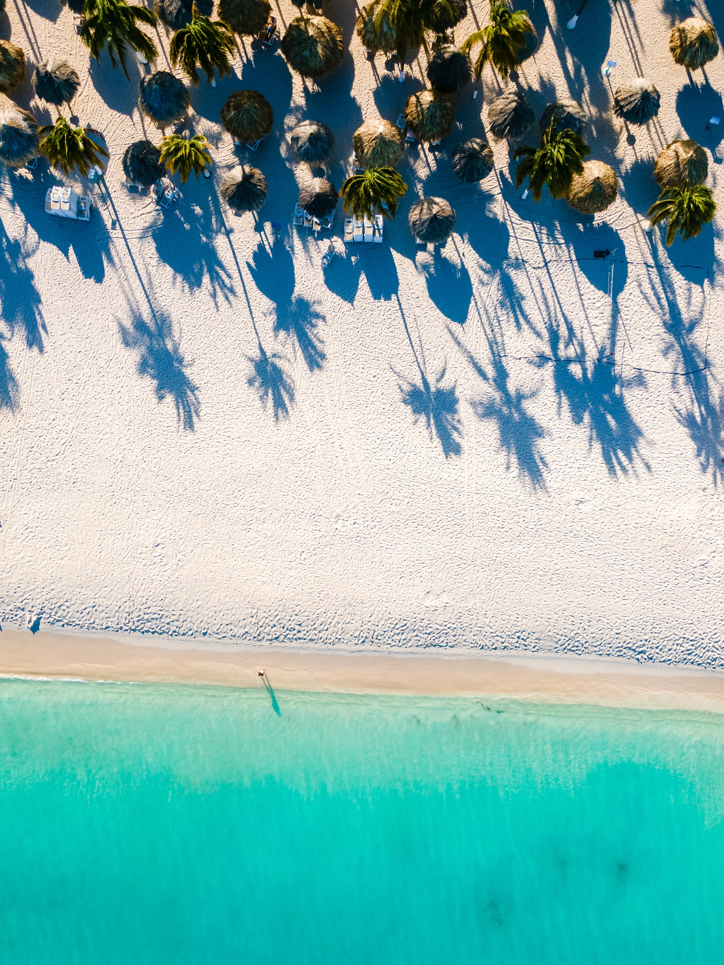 iStock-1491617993.jpg
