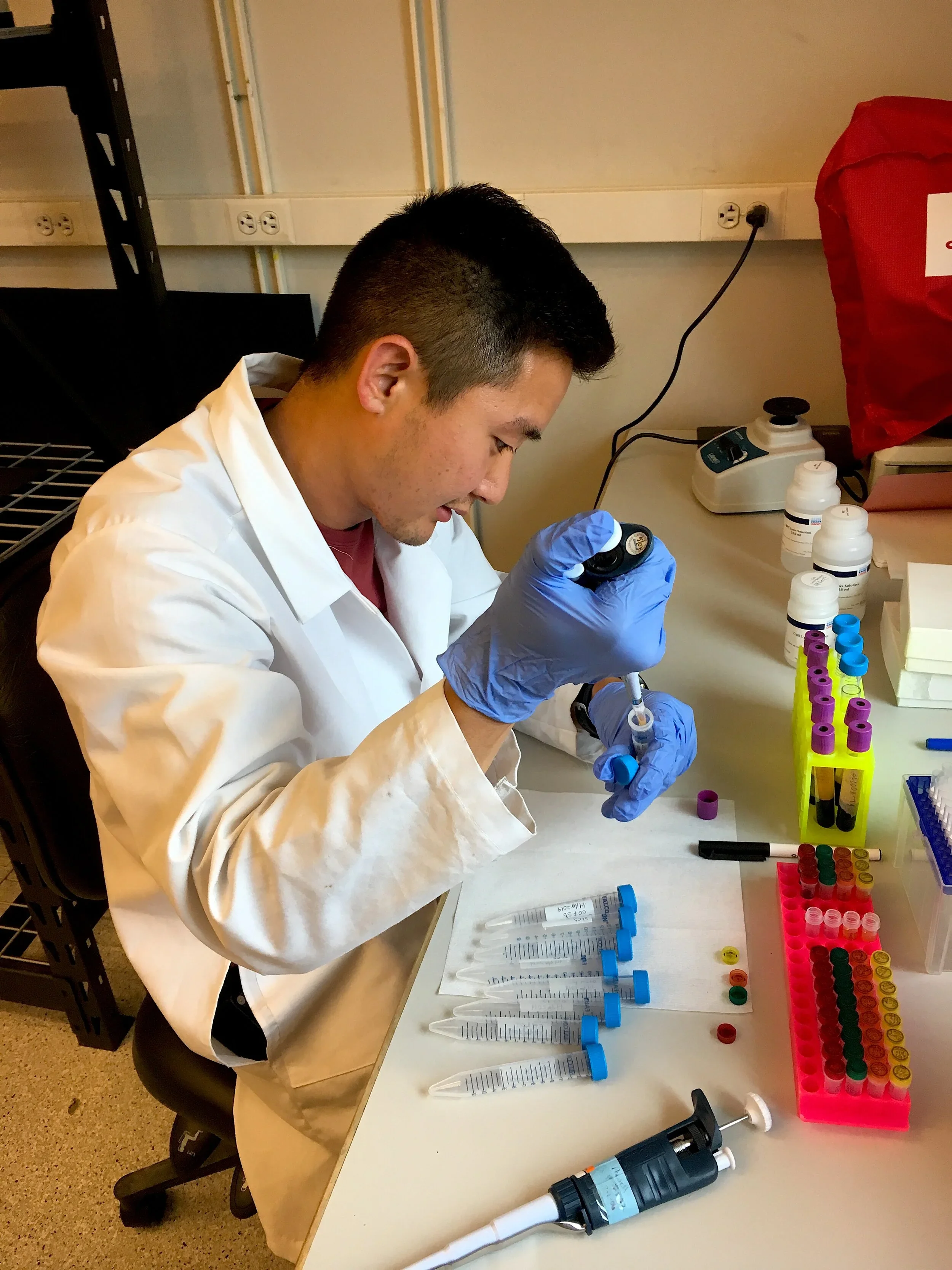 James Yu, of the Simonson Lab, extracts the white buffy coat of blood samples taken from Tibetan volunteers.