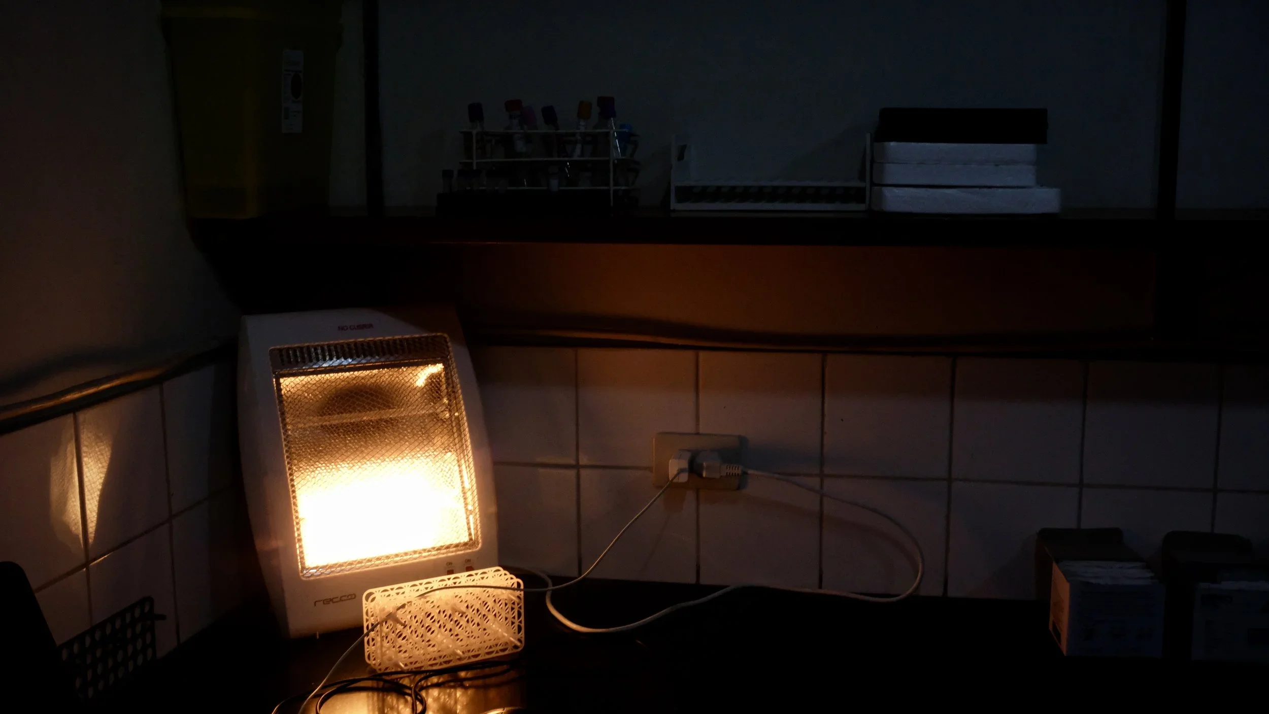 
Members of the Villafuerte Lab often work into the night, due to the sleep studies that they conduct as part of their research.