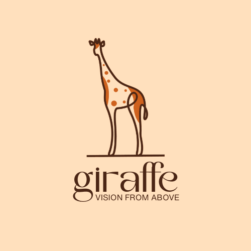 Giraffe Vision from Above