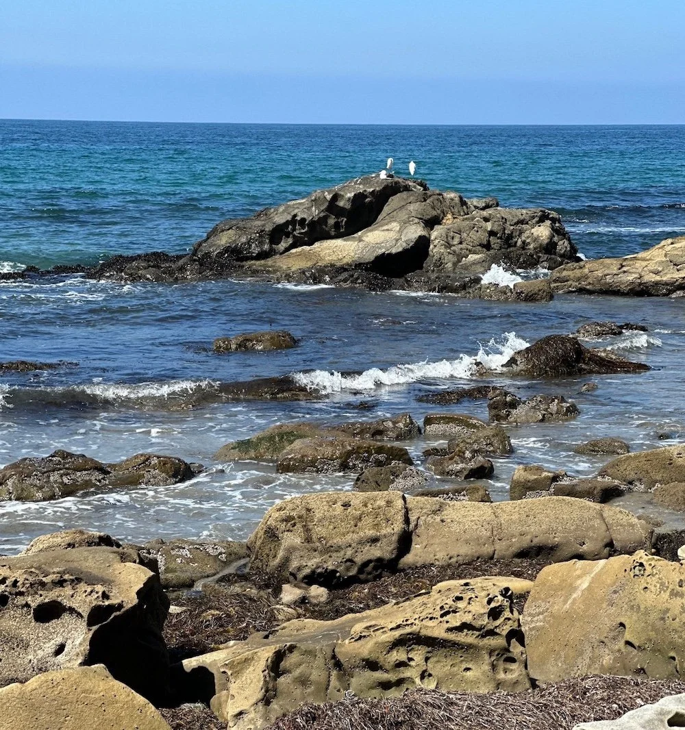 A rocky shoreline with large rocks and small waves, and three seagulls perched on a rock in the ocean.