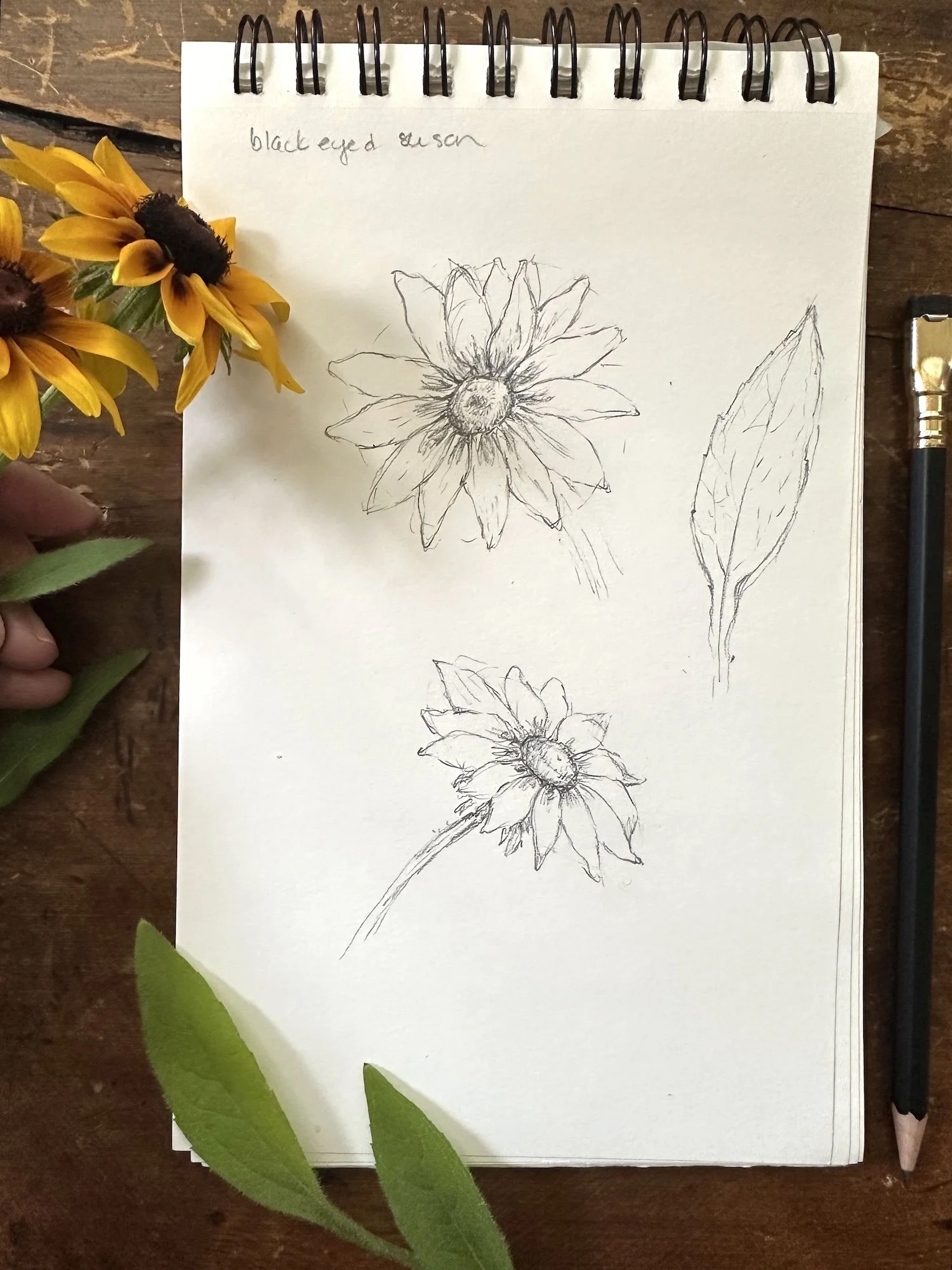 Sketches of two flowers and a leaf on a white notepad beside a black pencil, with yellow flowers and green leaves surrounding the notepad on a wooden surface.