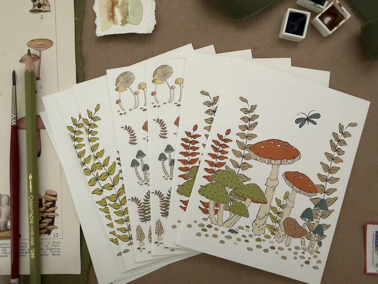 Woodland Mushroom Variety Pack - Light