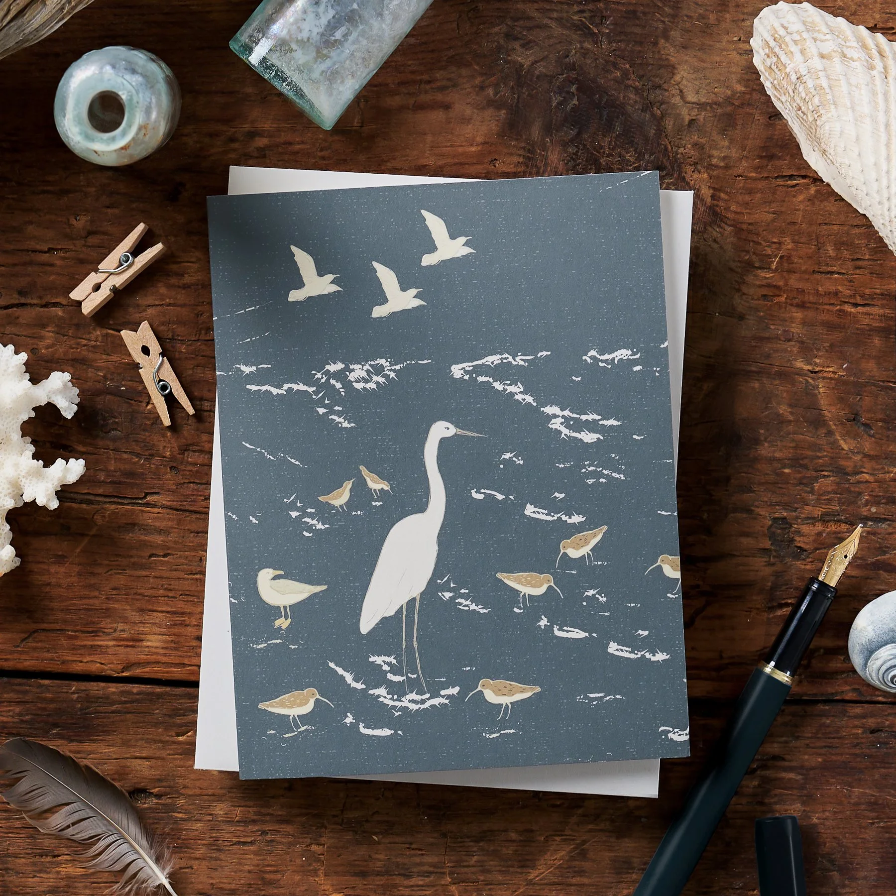 Single Seacoast Shorebird Card