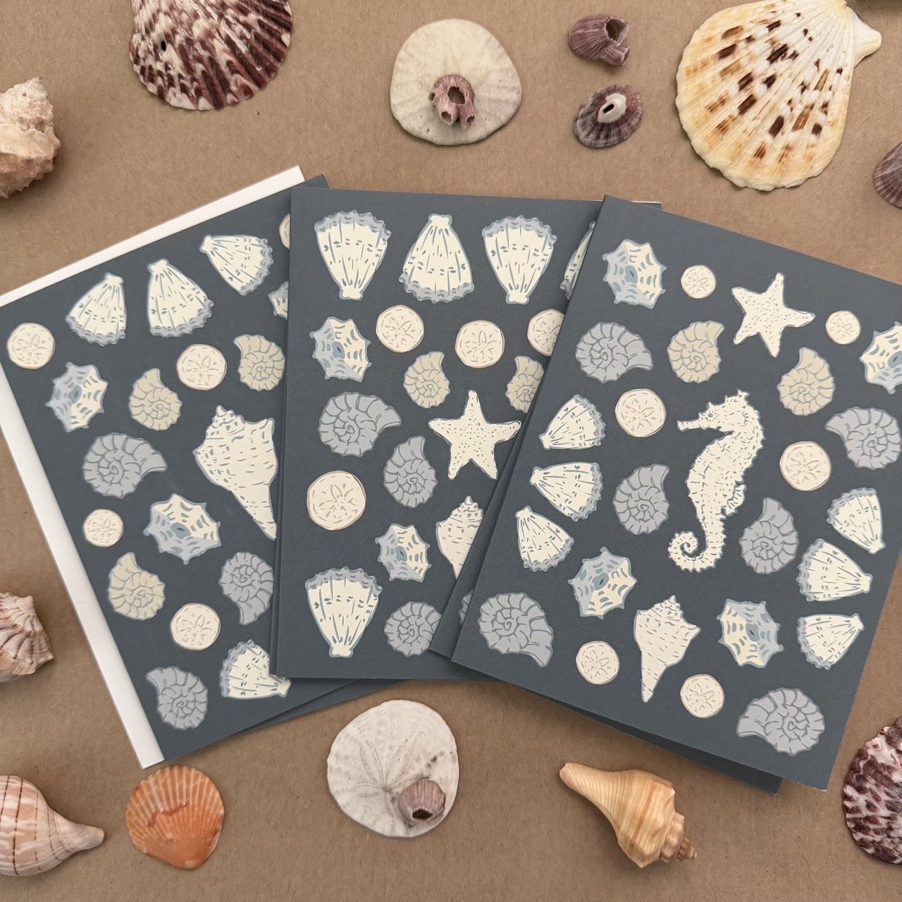 Shell Collection Variety Pack