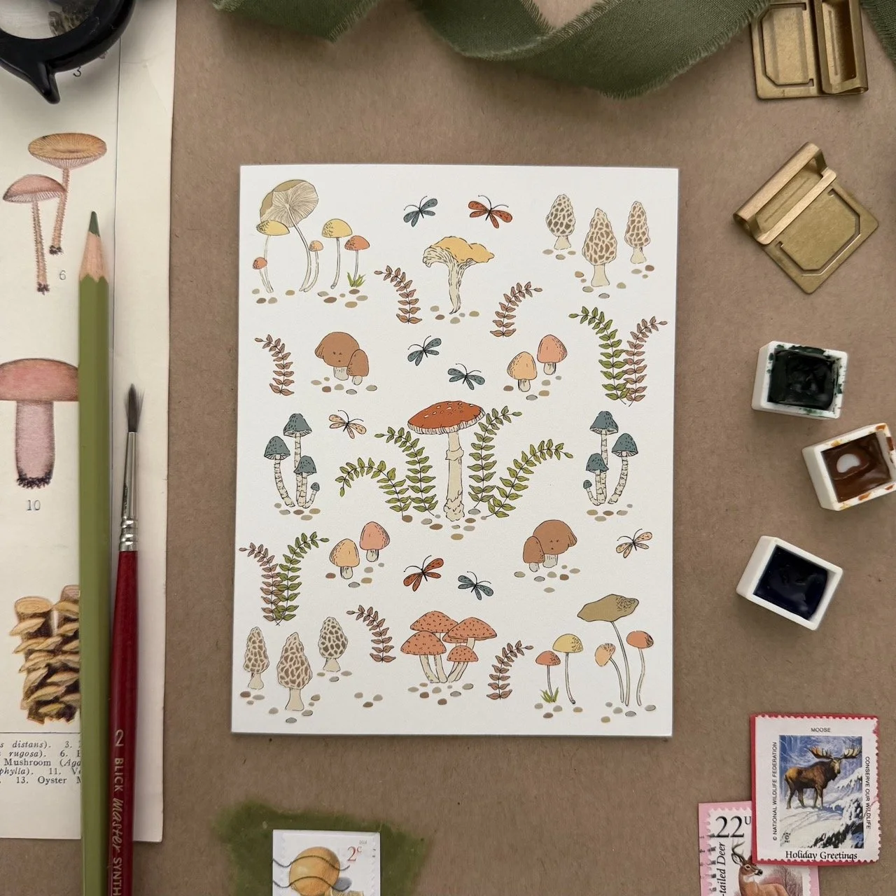 IMG_1341 eggshell ind all mushrooms variety set copy Large.jpeg