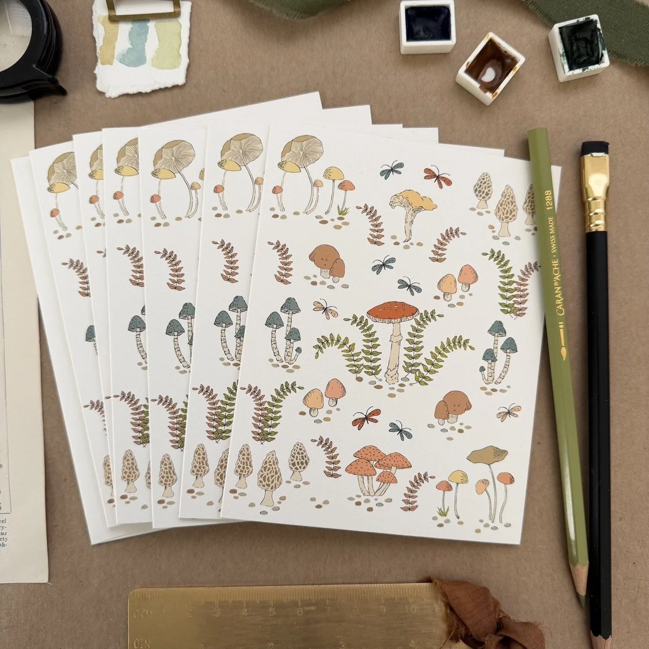 Woodland Mushroom Field 6 Pack - Light