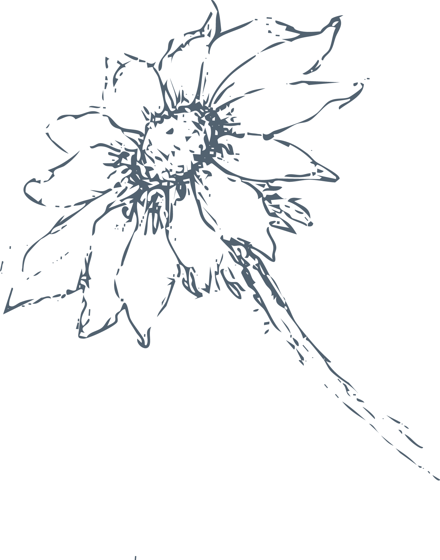 Outline illustration of a flower with multiple petals and a long stem against a black background.