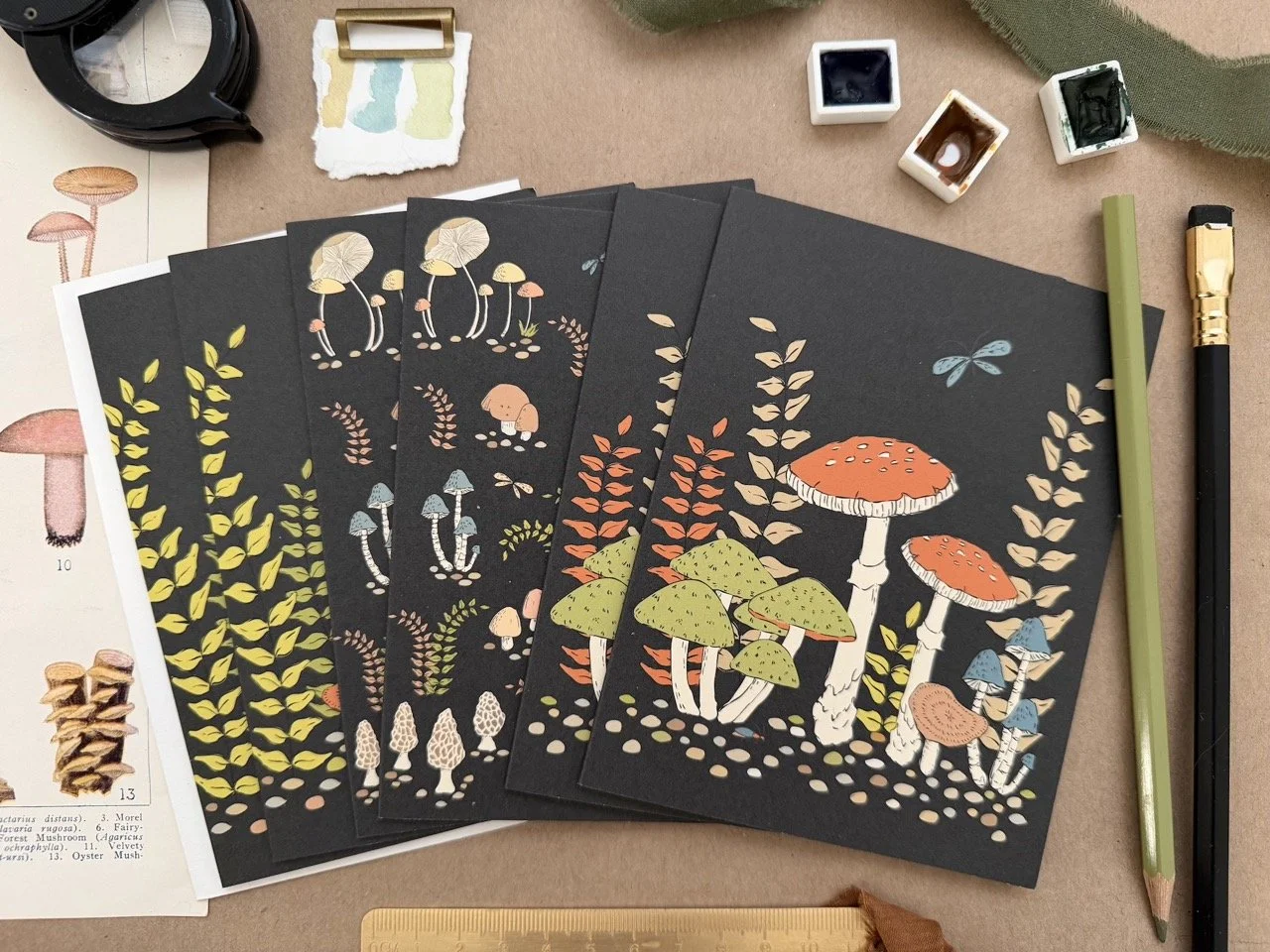 Woodland Mushroom Variety Pack - Dark