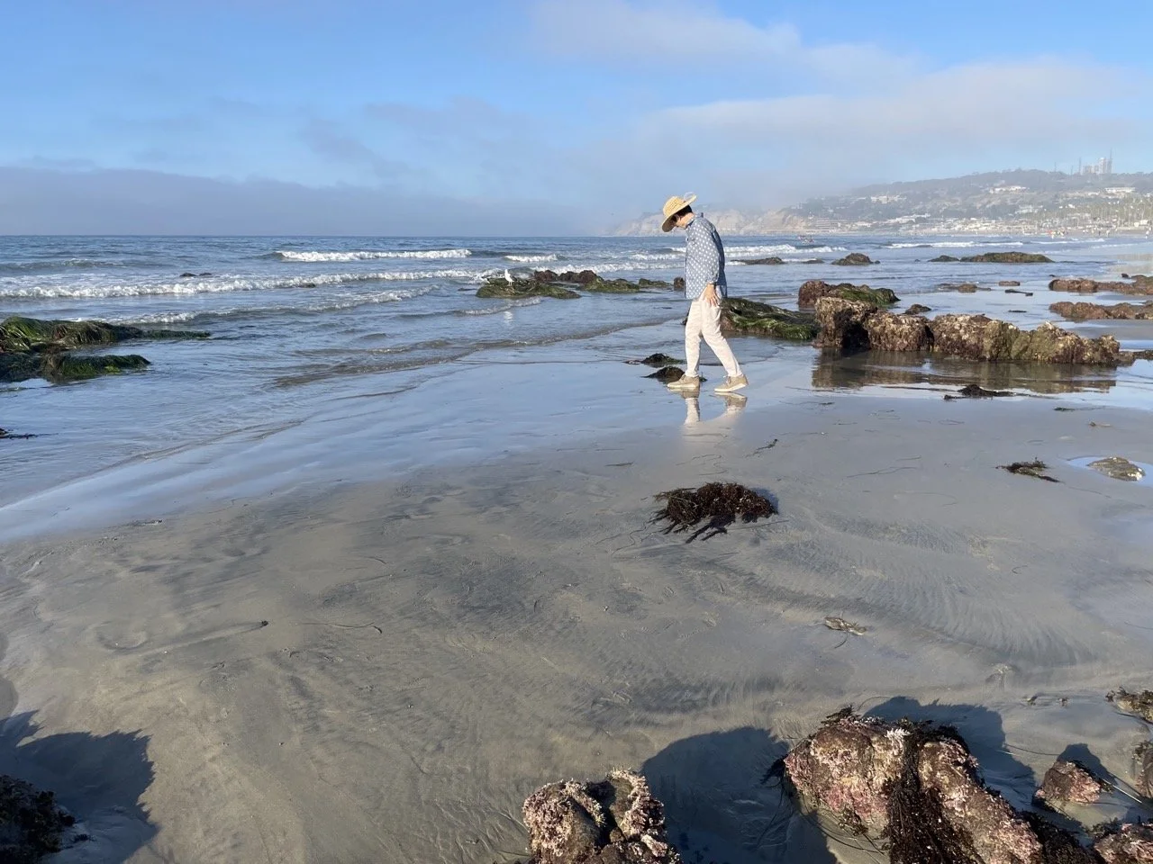 Person in a wide-brimmed hat, sunglasses, and casual clothing walking on a sandy beach with rocks and seaweed, with ocean waves and distant land in the background.