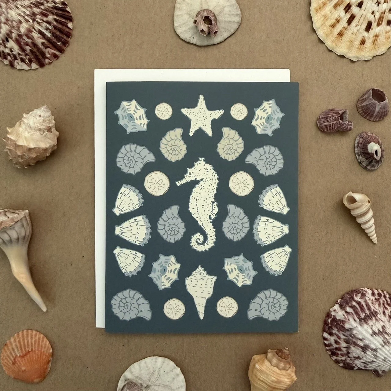 IMG_1373 Individual Shell - Seahorse copy Large.jpeg