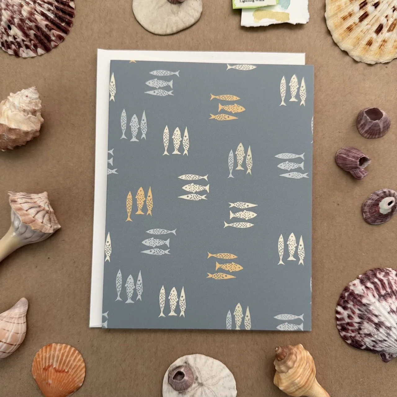 IMG_1392 SC Variety Triple Fish Light copy Large.jpeg