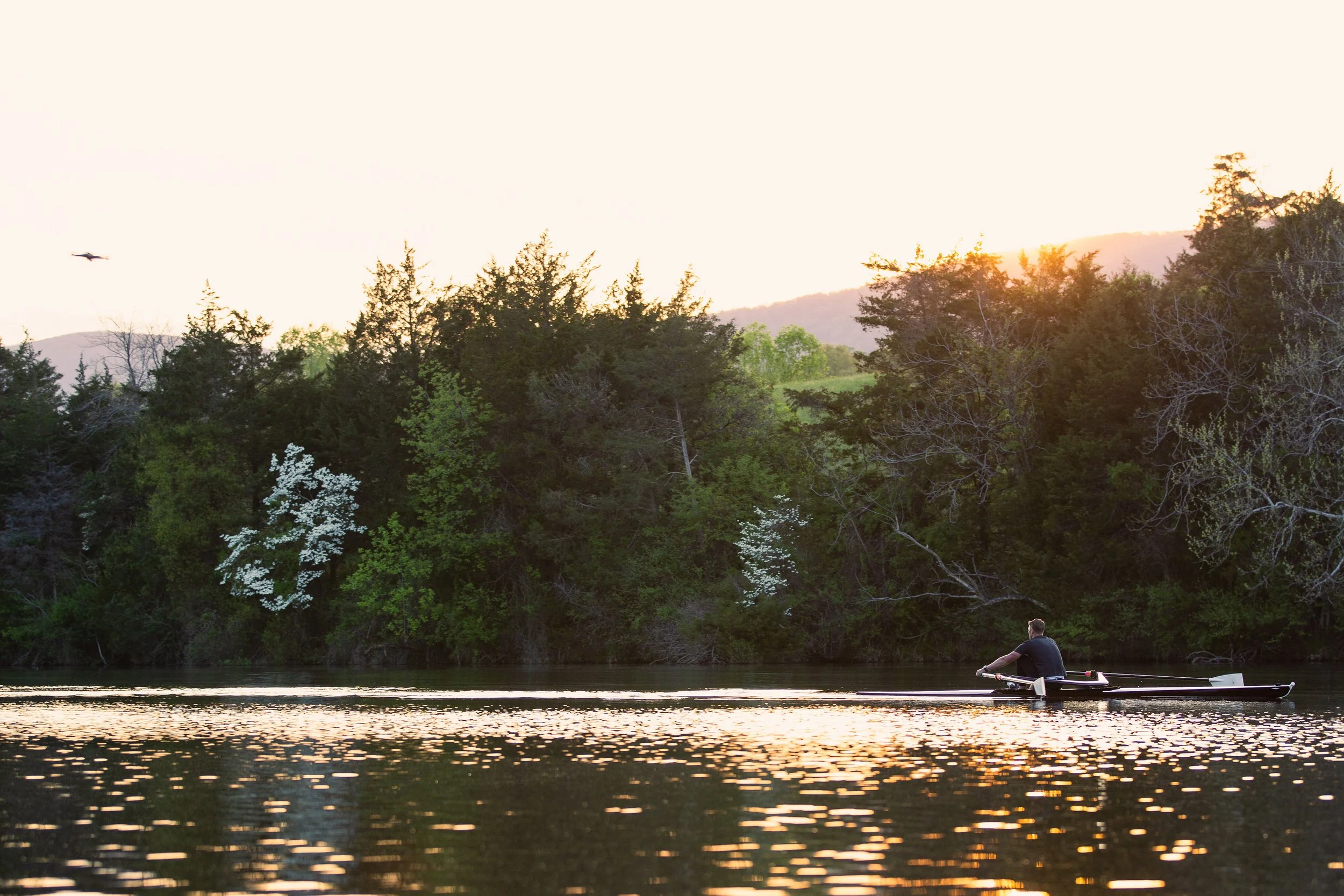 Riding Out The Mid January Dip