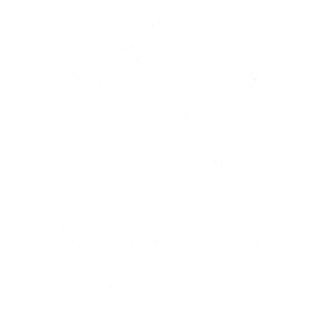 A black and white symbol of a lightning bolt inside a circle.