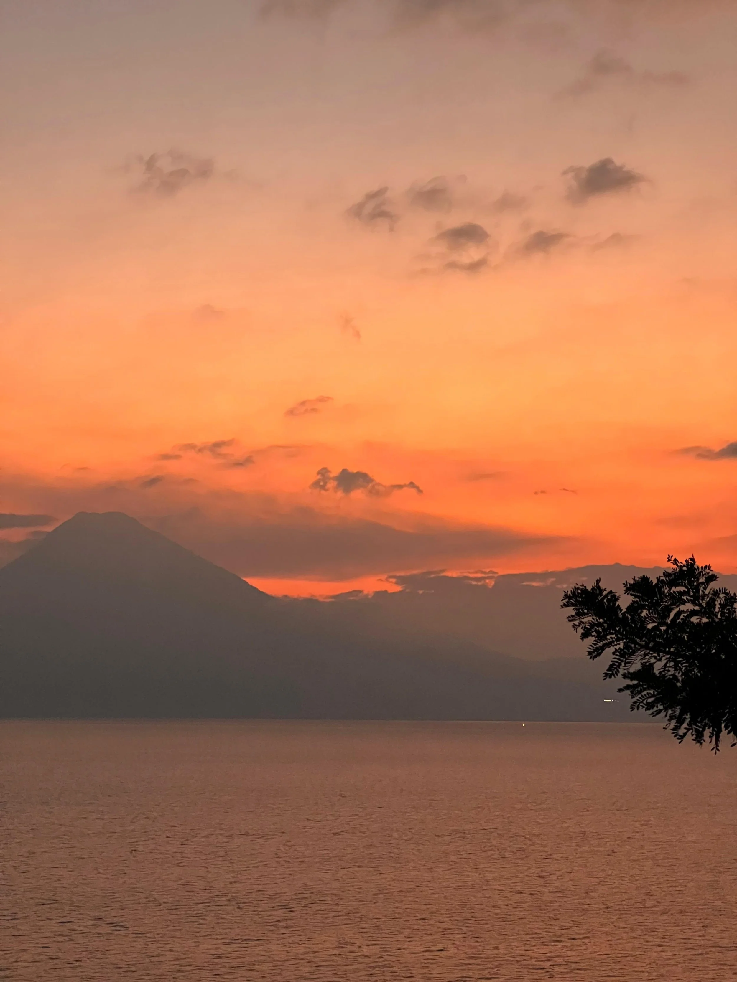 PHOTO-2025-01-17-10-31-04 7.jpg