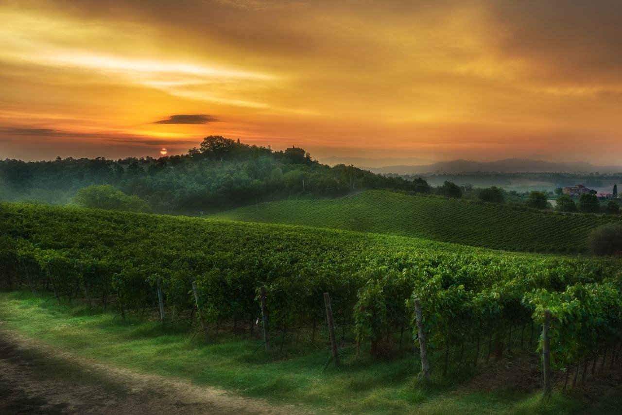 A scenic landscape of rolling green vineyards and hills at sunset, with orange and yellow sky and a few clouds.