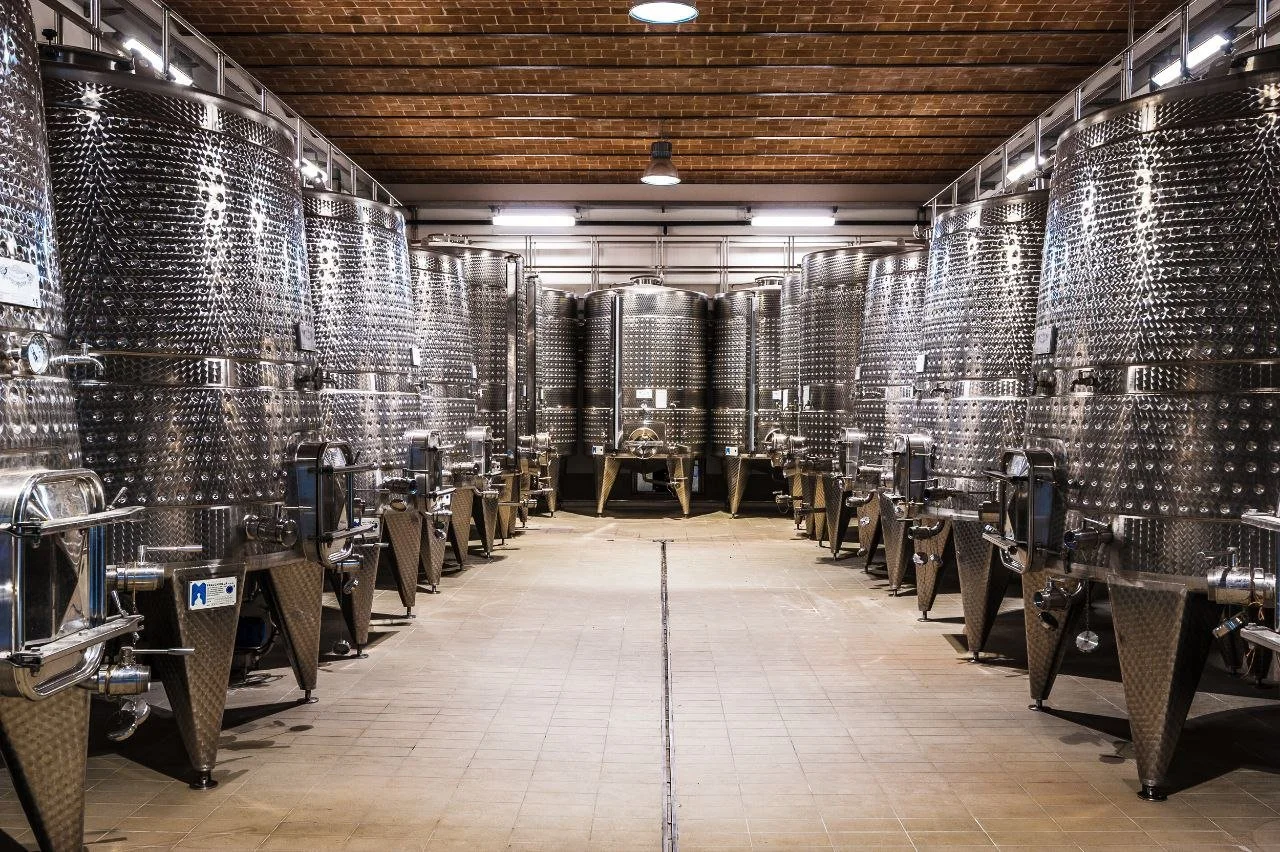 A room filled with large, shiny stainless steel wine fermentation tanks arranged in two rows.